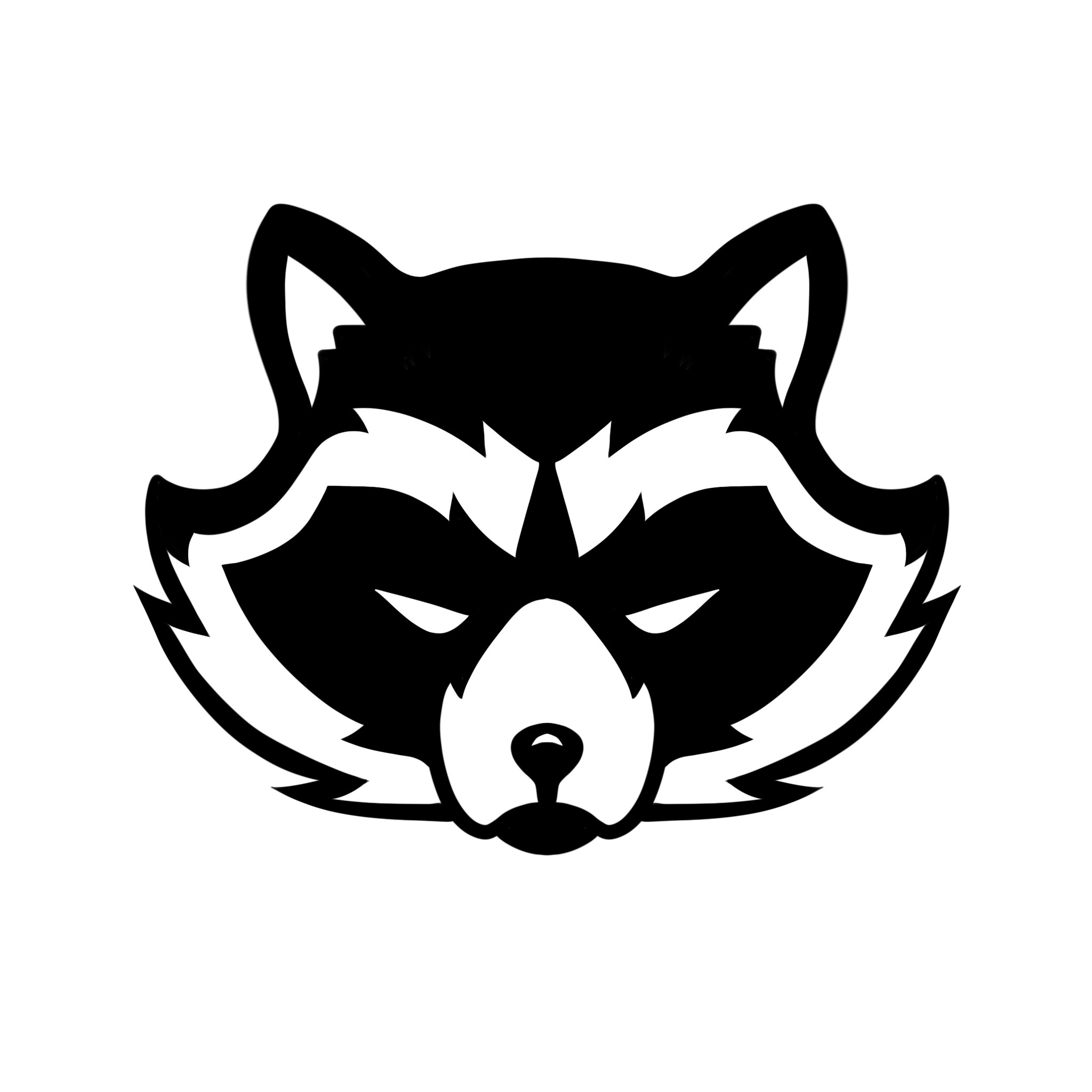 Raccoon
