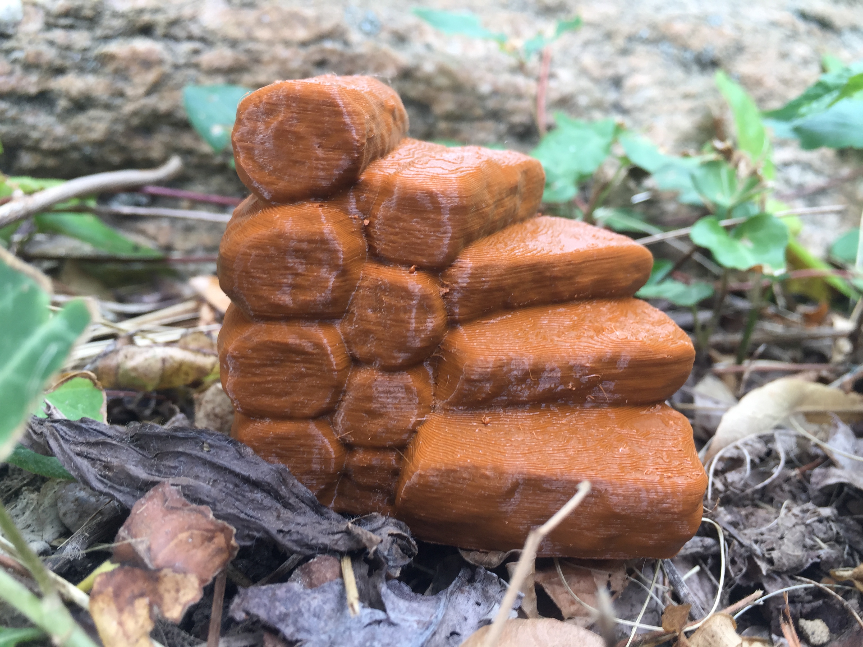 Log Steps