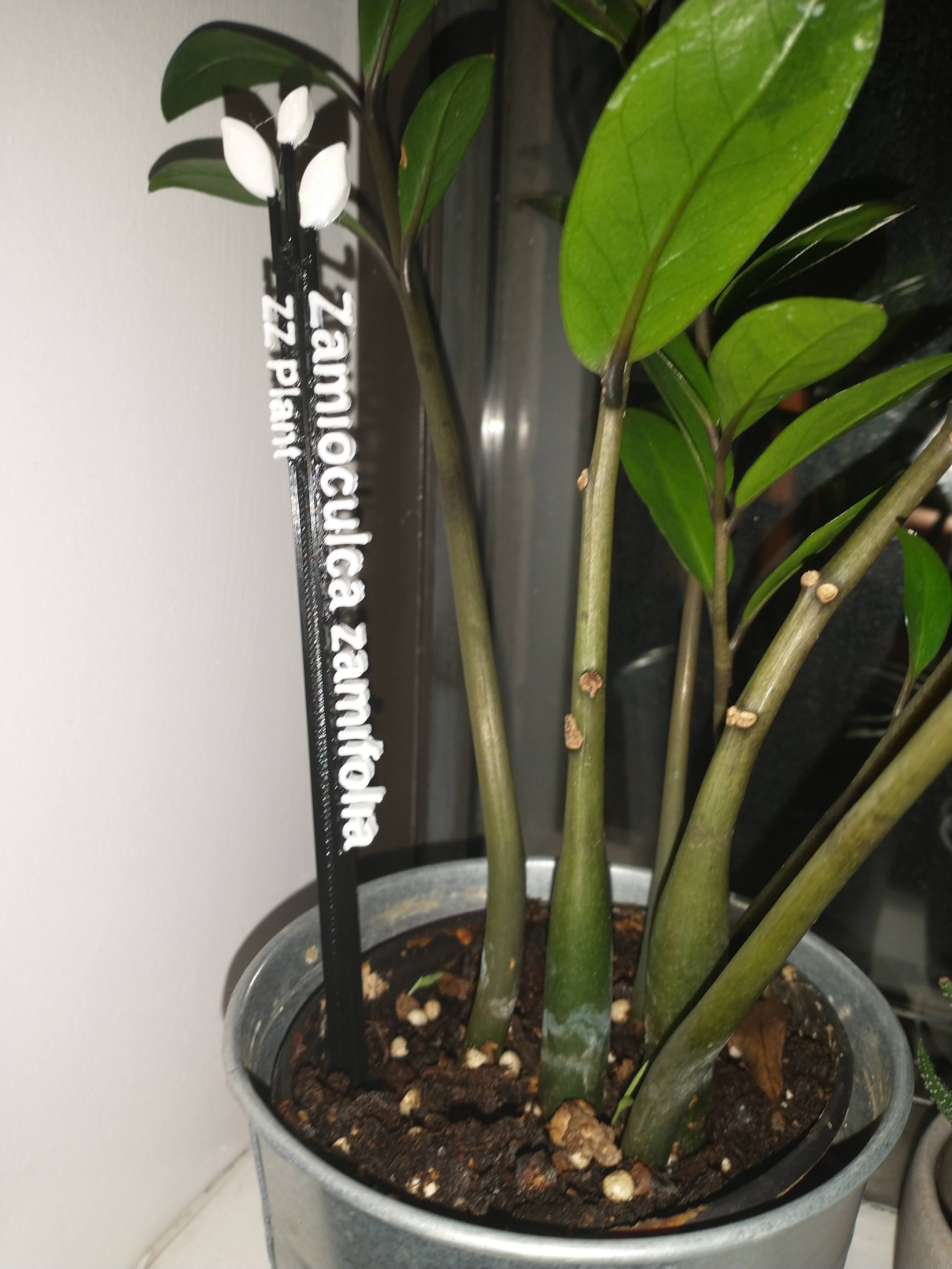 Multimaterial - Stylish Plant Labels (OpenSCAD Customizable)