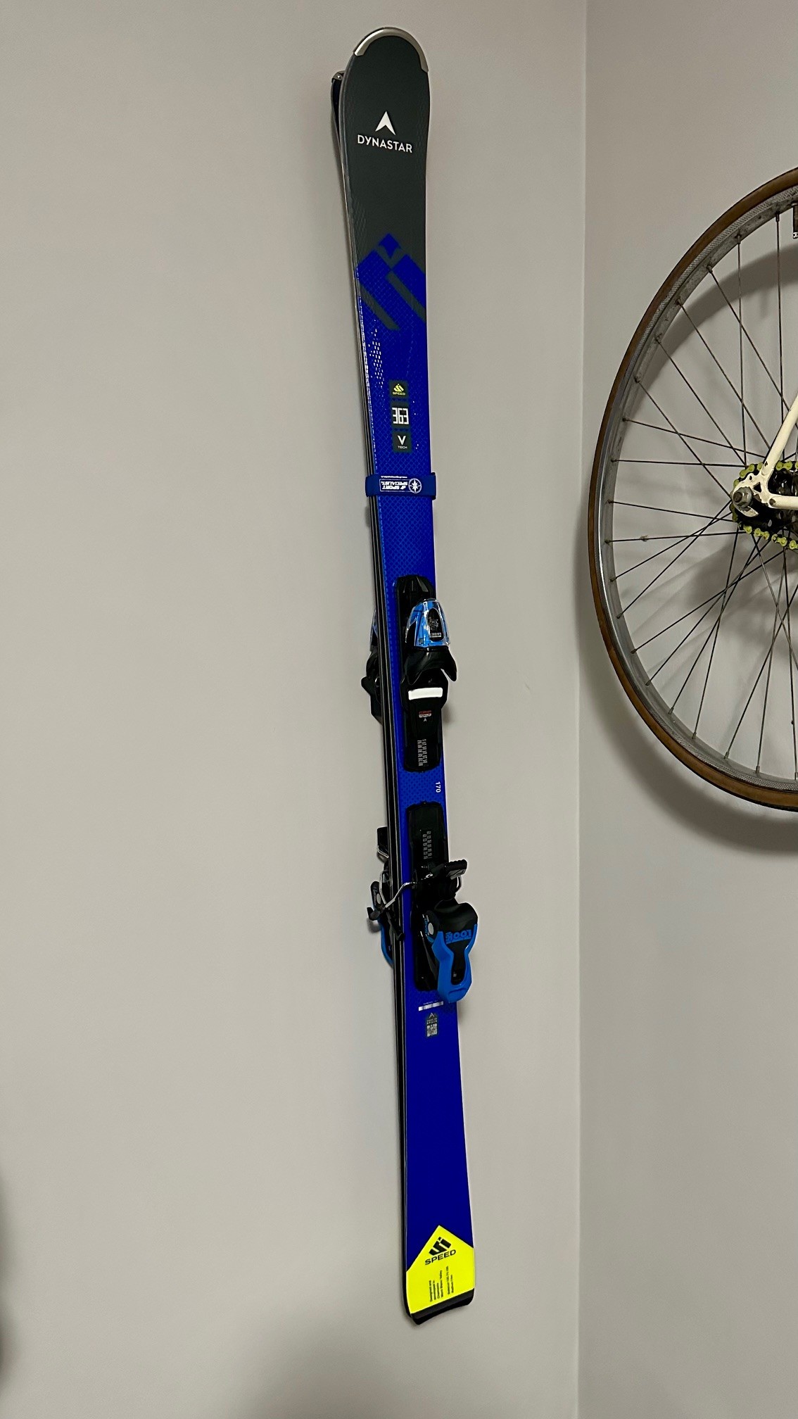 Wall-mounted ski holder