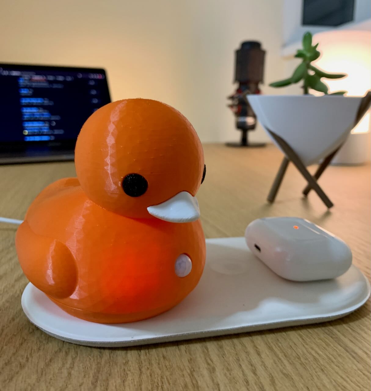 The Guardian Duck