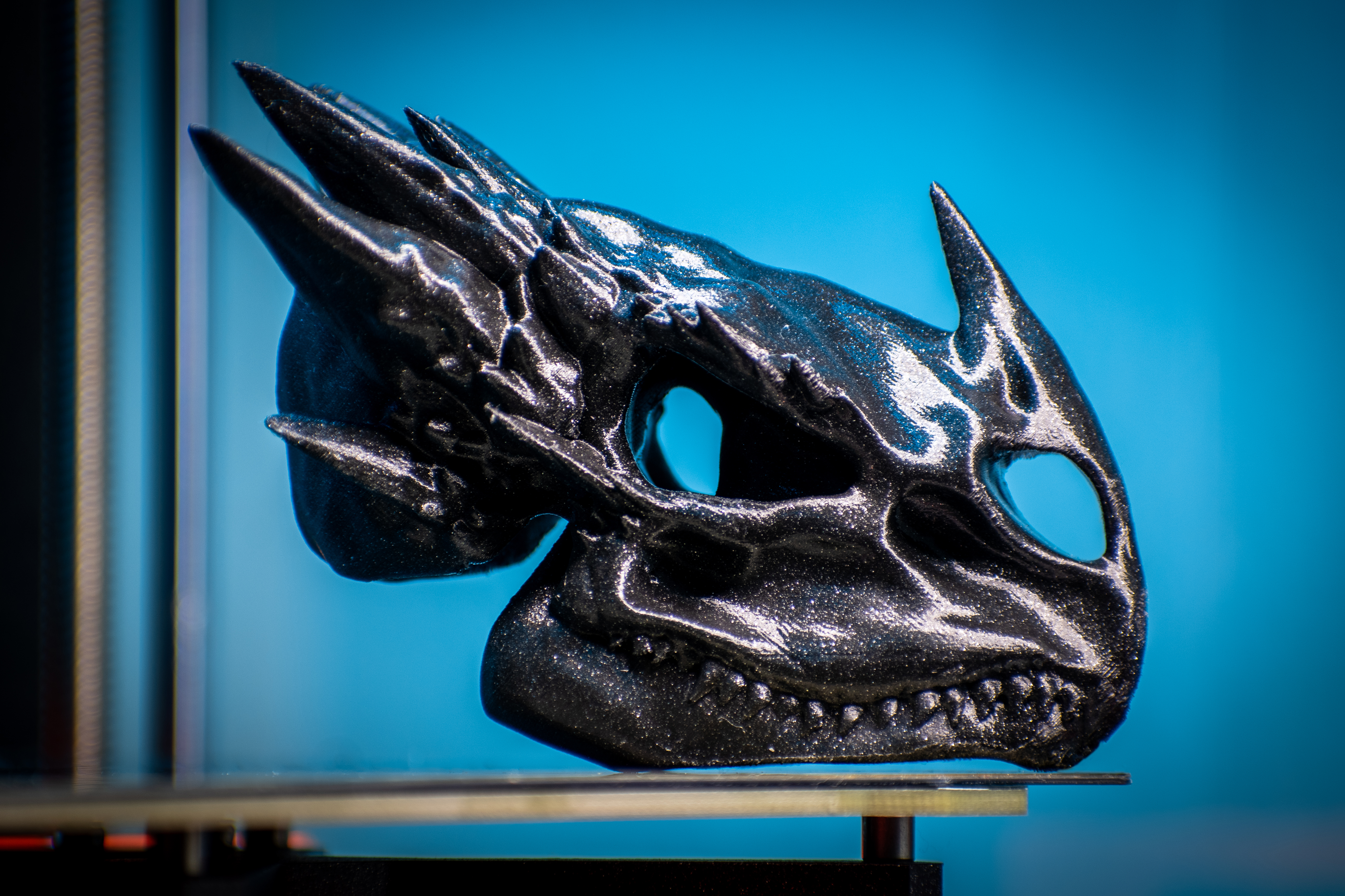 Miniatura 2 do modelo 3D Dragon Skull