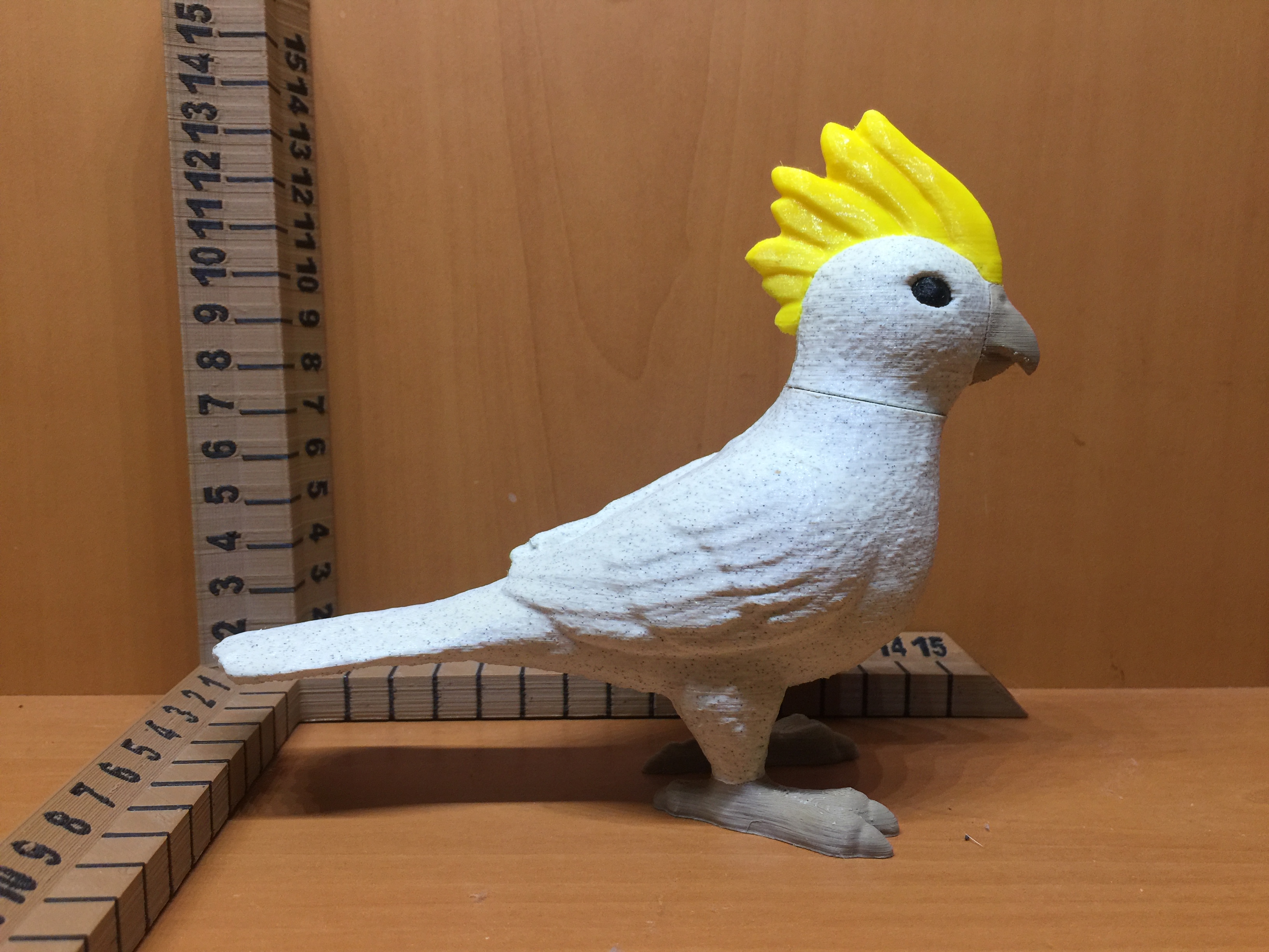 Cockatiel — miniatura 5