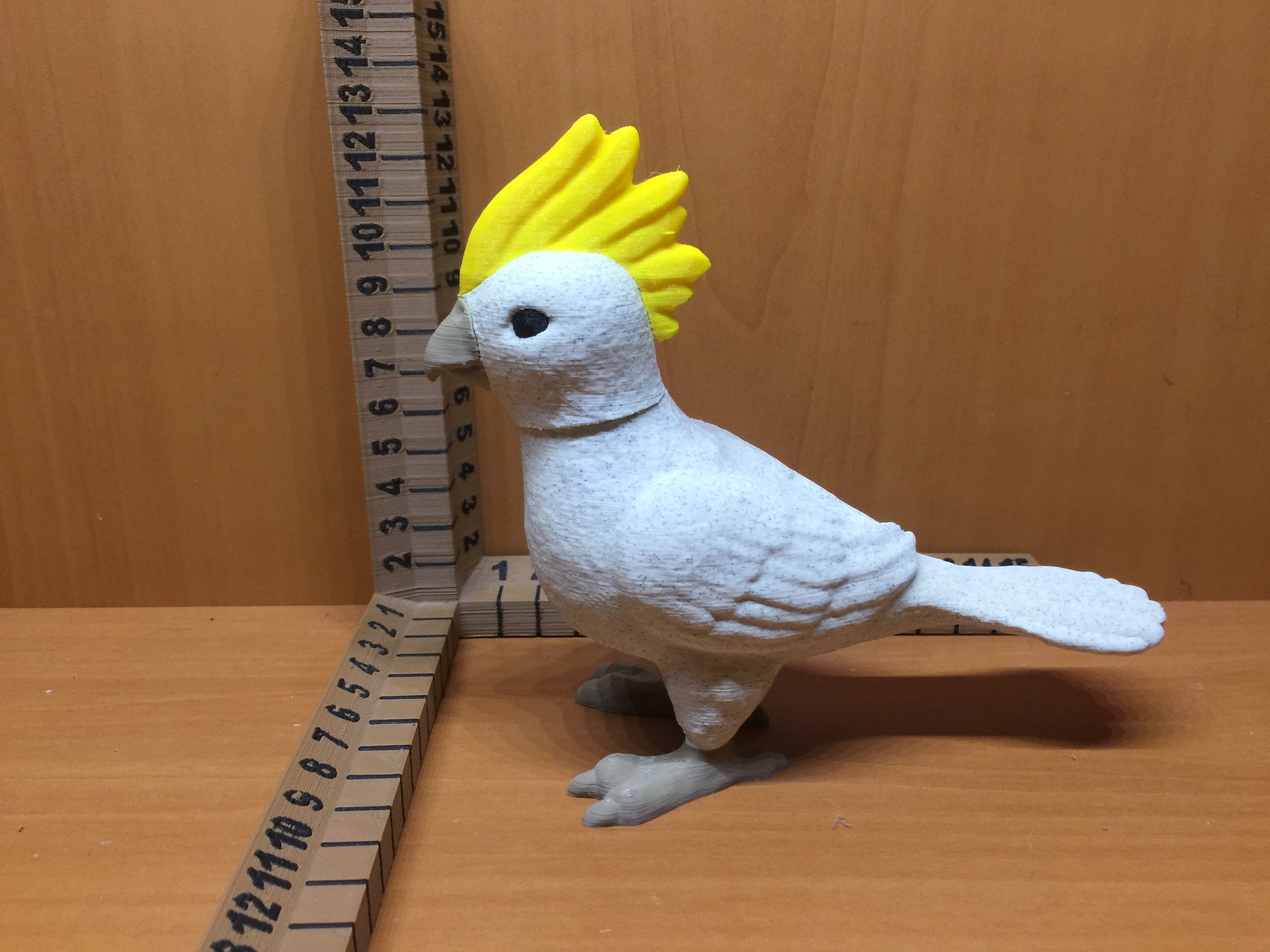 Cockatiel — miniatura 3