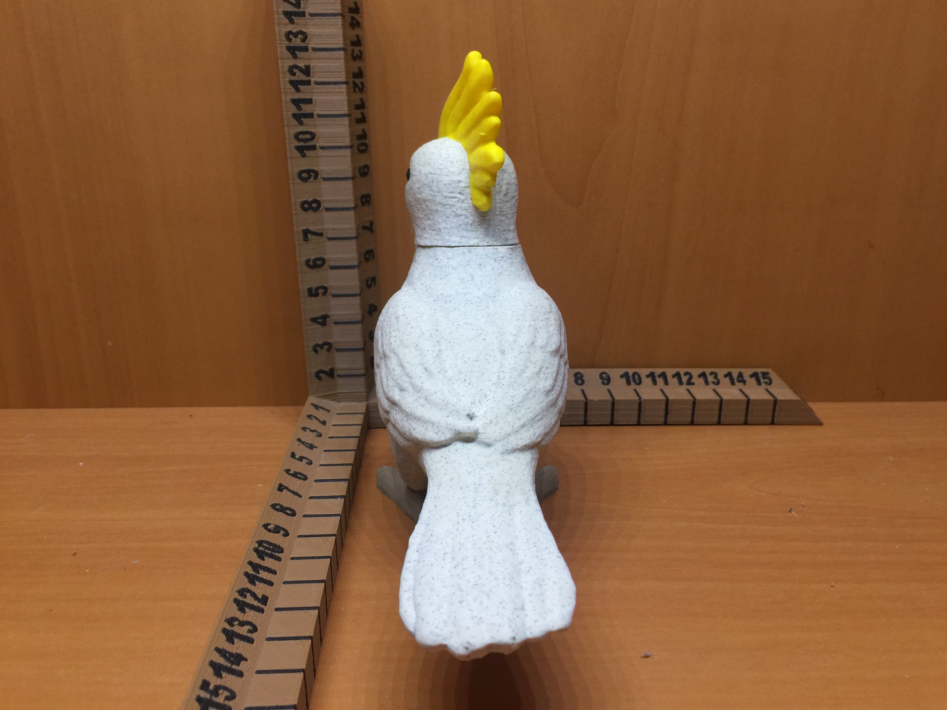 Cockatiel — miniatura 4