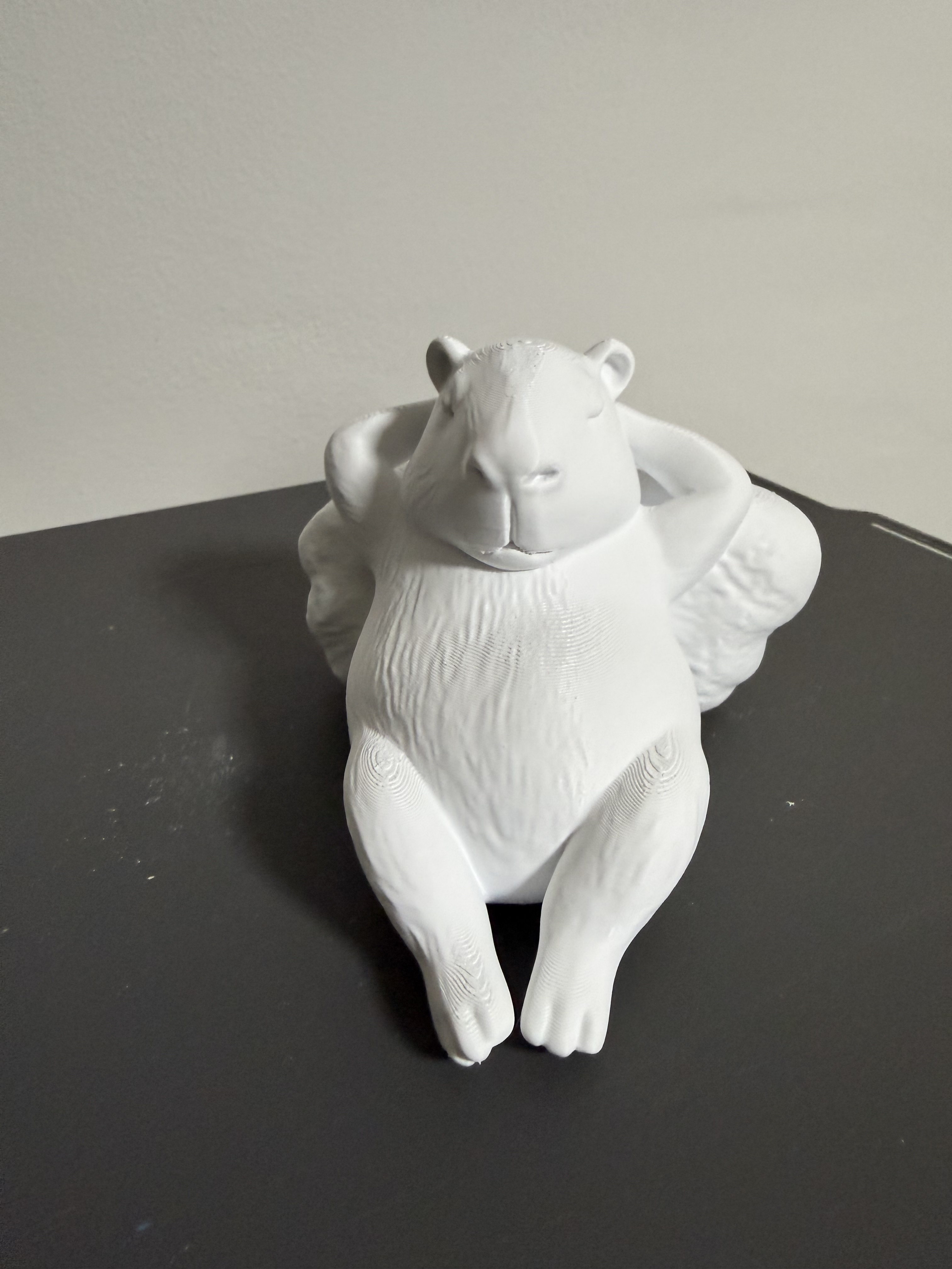 Miniatura 6 do modelo 3D Capibara Relax