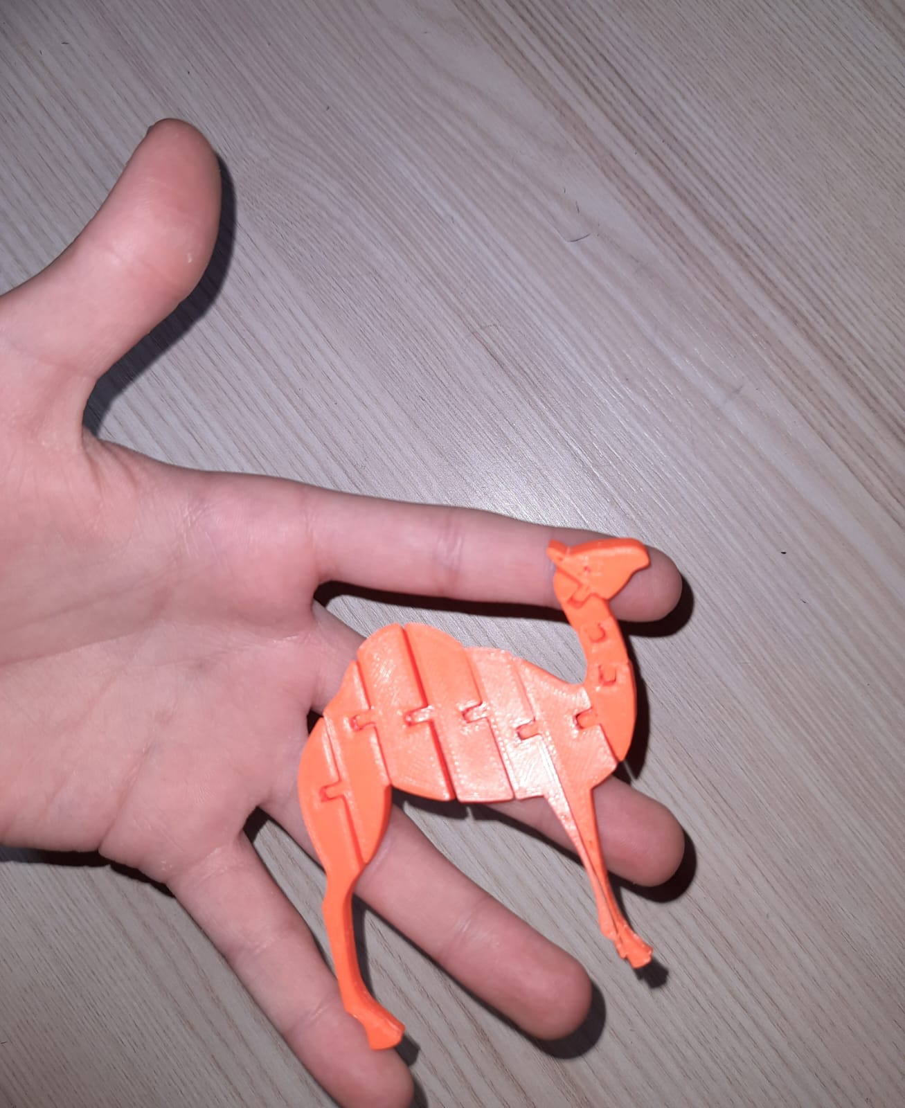 Flexi Camel — miniatura 2
