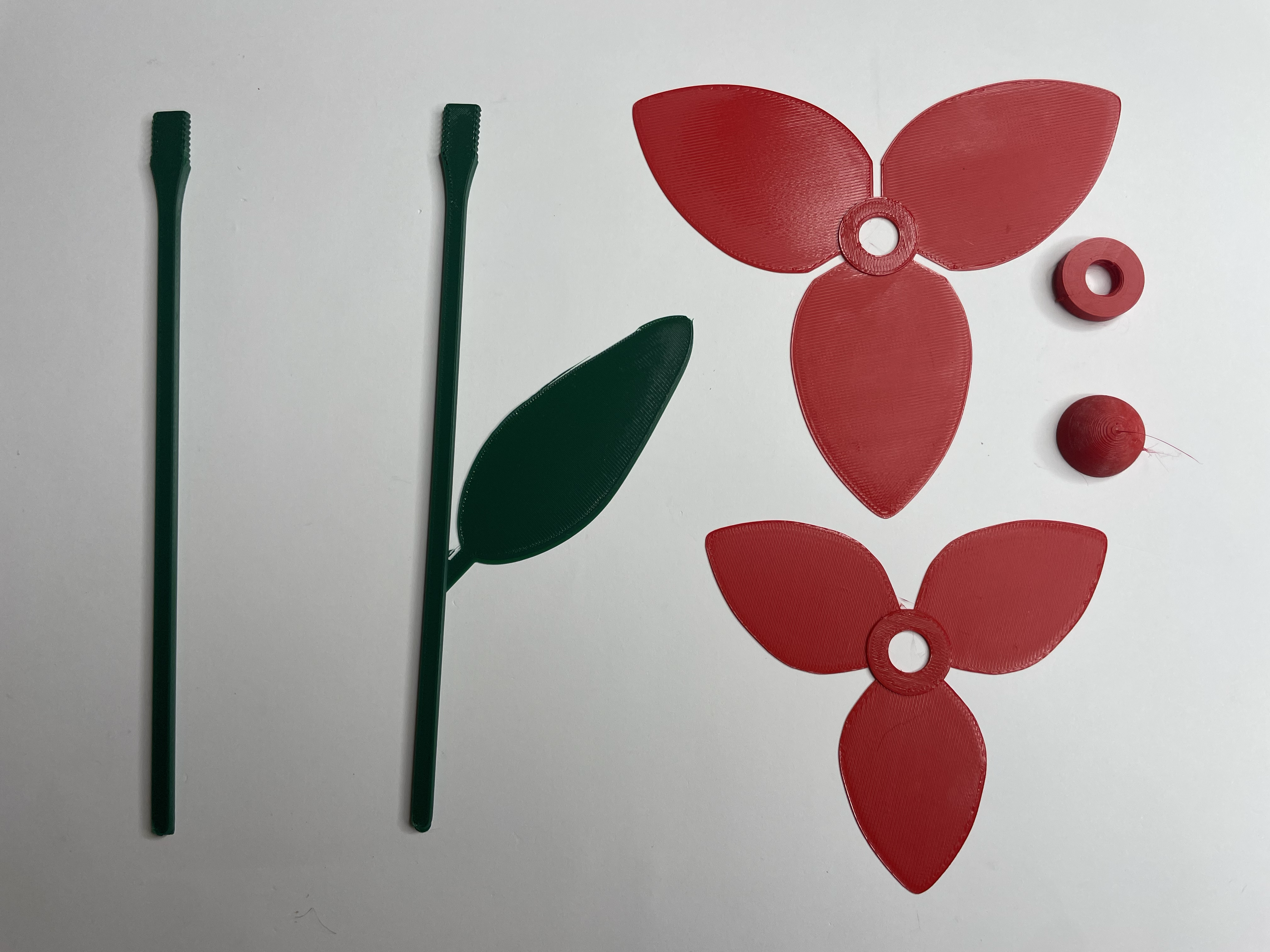 Tulip — thumbnail 4