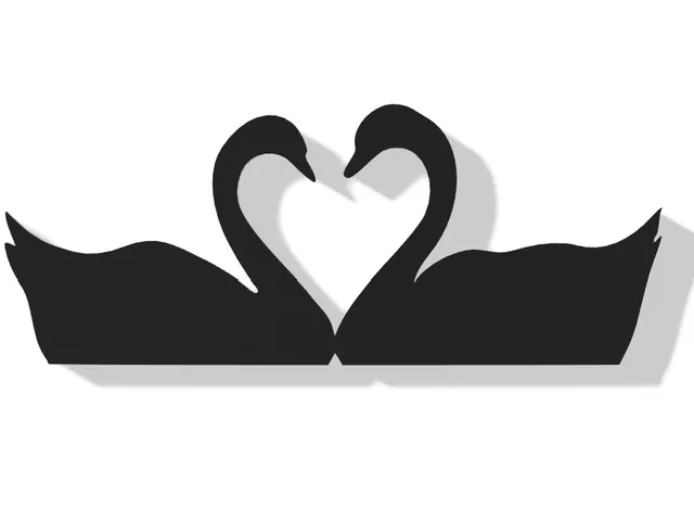 Swan Decor