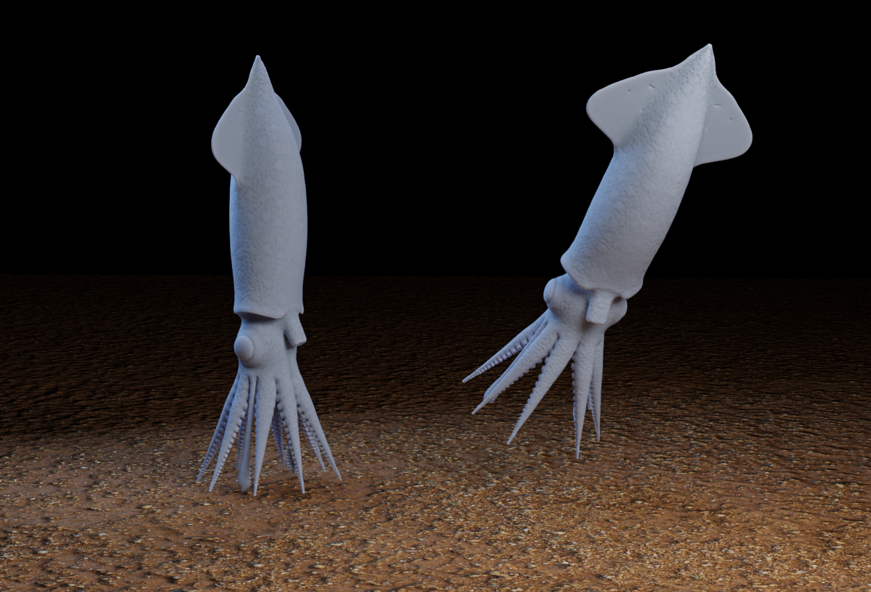 Firefly Squid