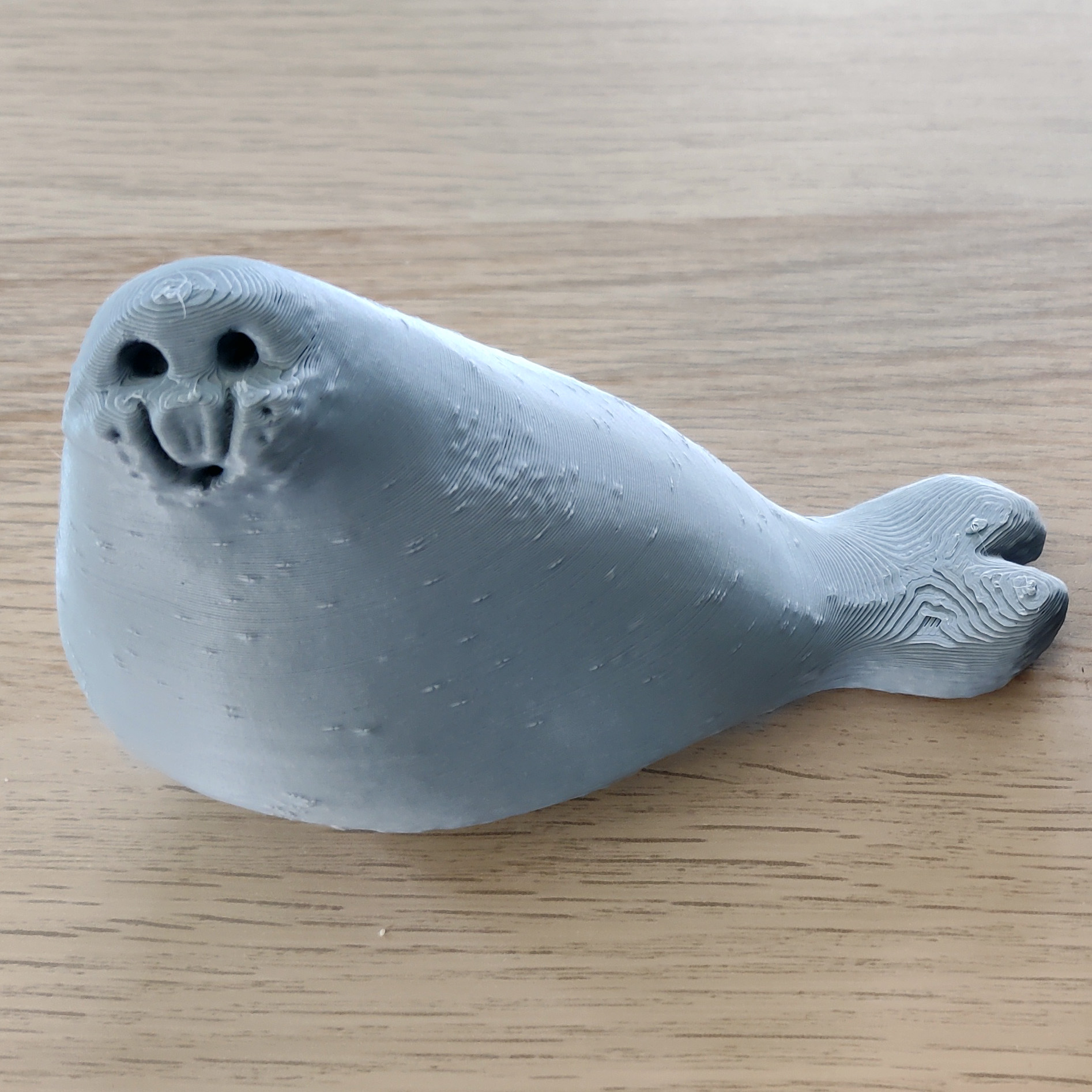 Surprised Seal (Photogrammetry)