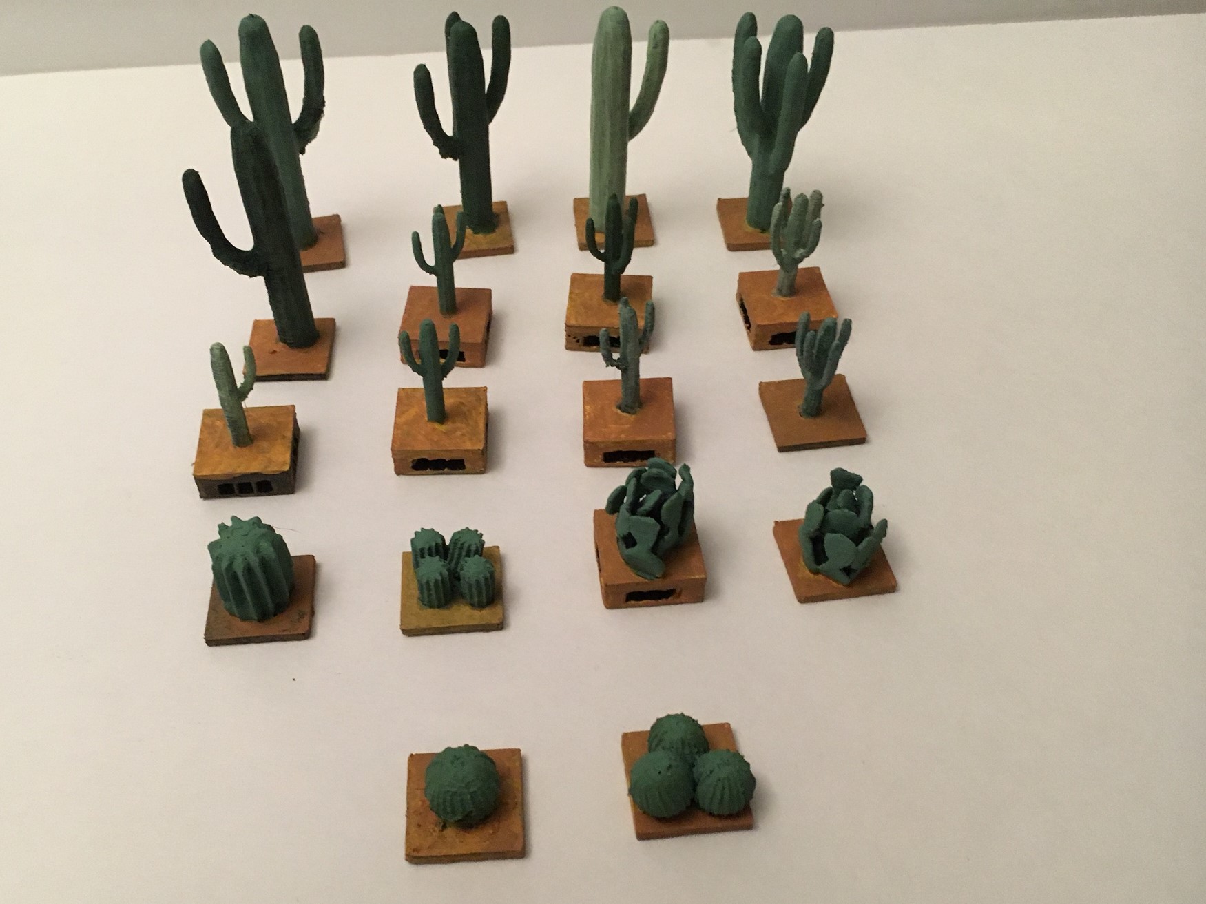 Miniature Cacti Various Families
