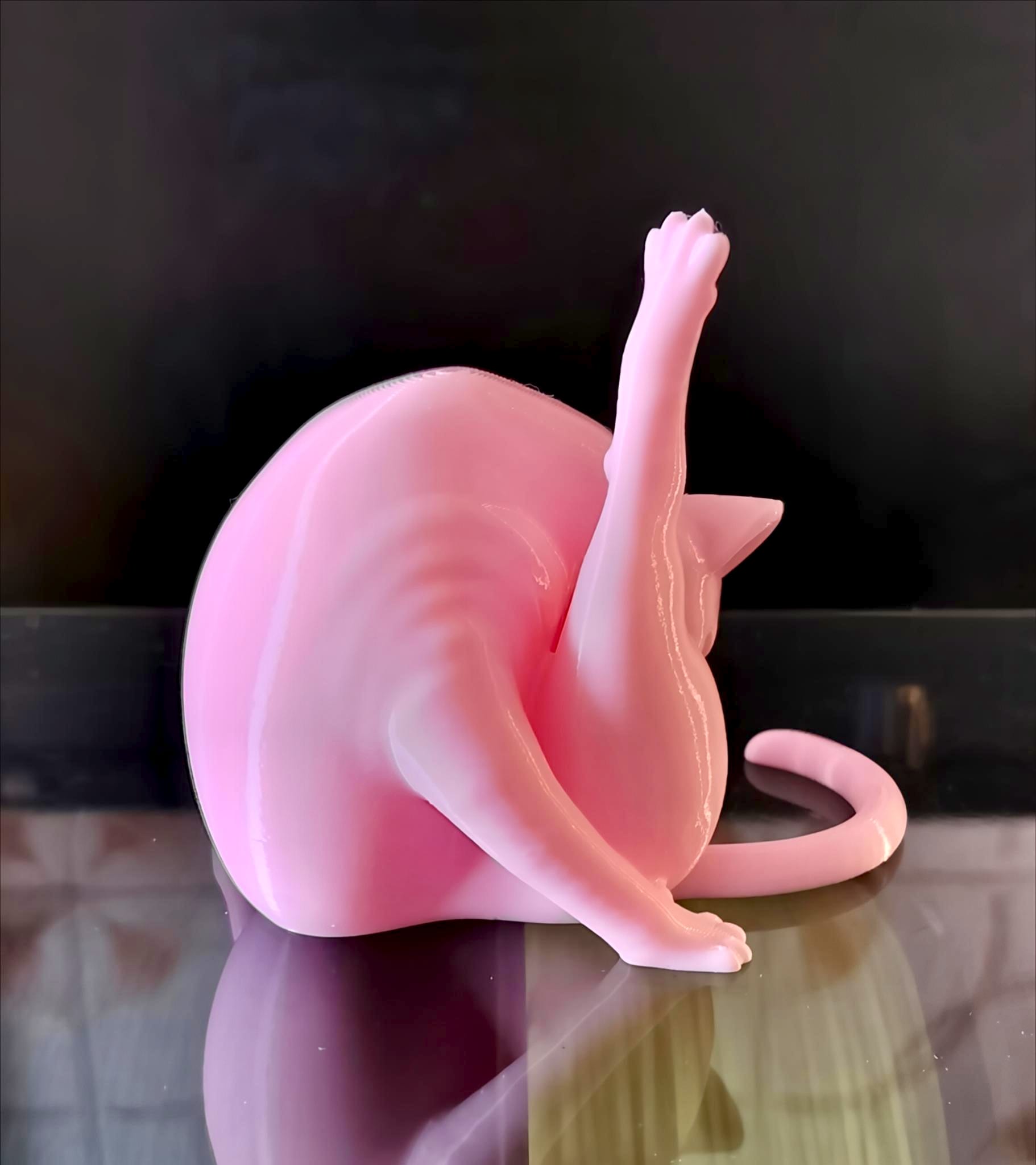 Cat Cleaning Routine — miniatura 3