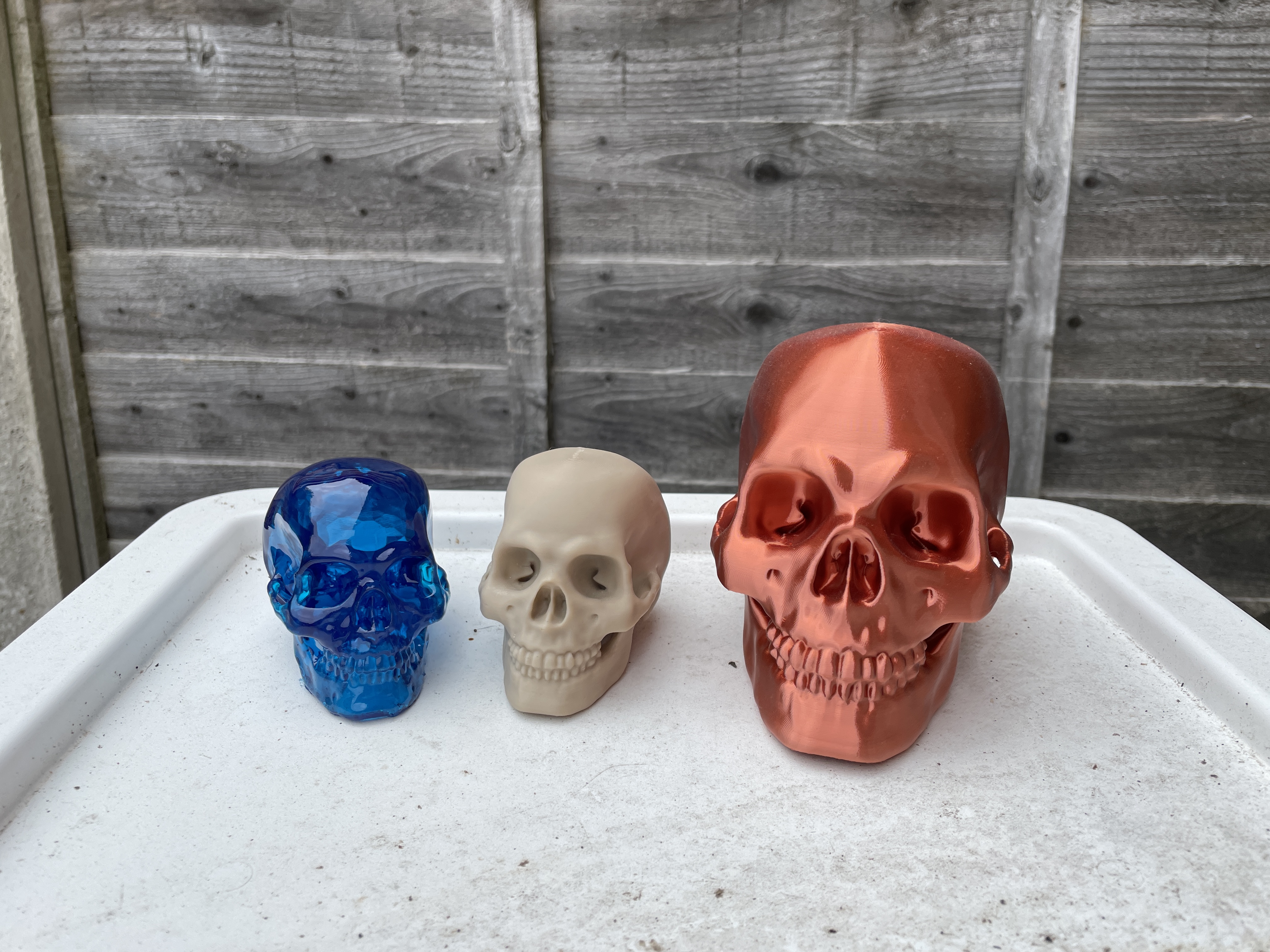 Human Skull 3D model thumbnail