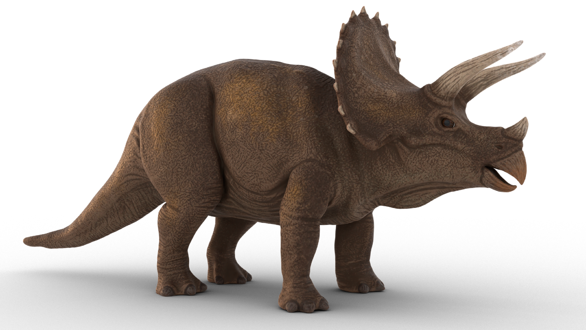 Triceratops flexi by lorga3d download free stl model printables