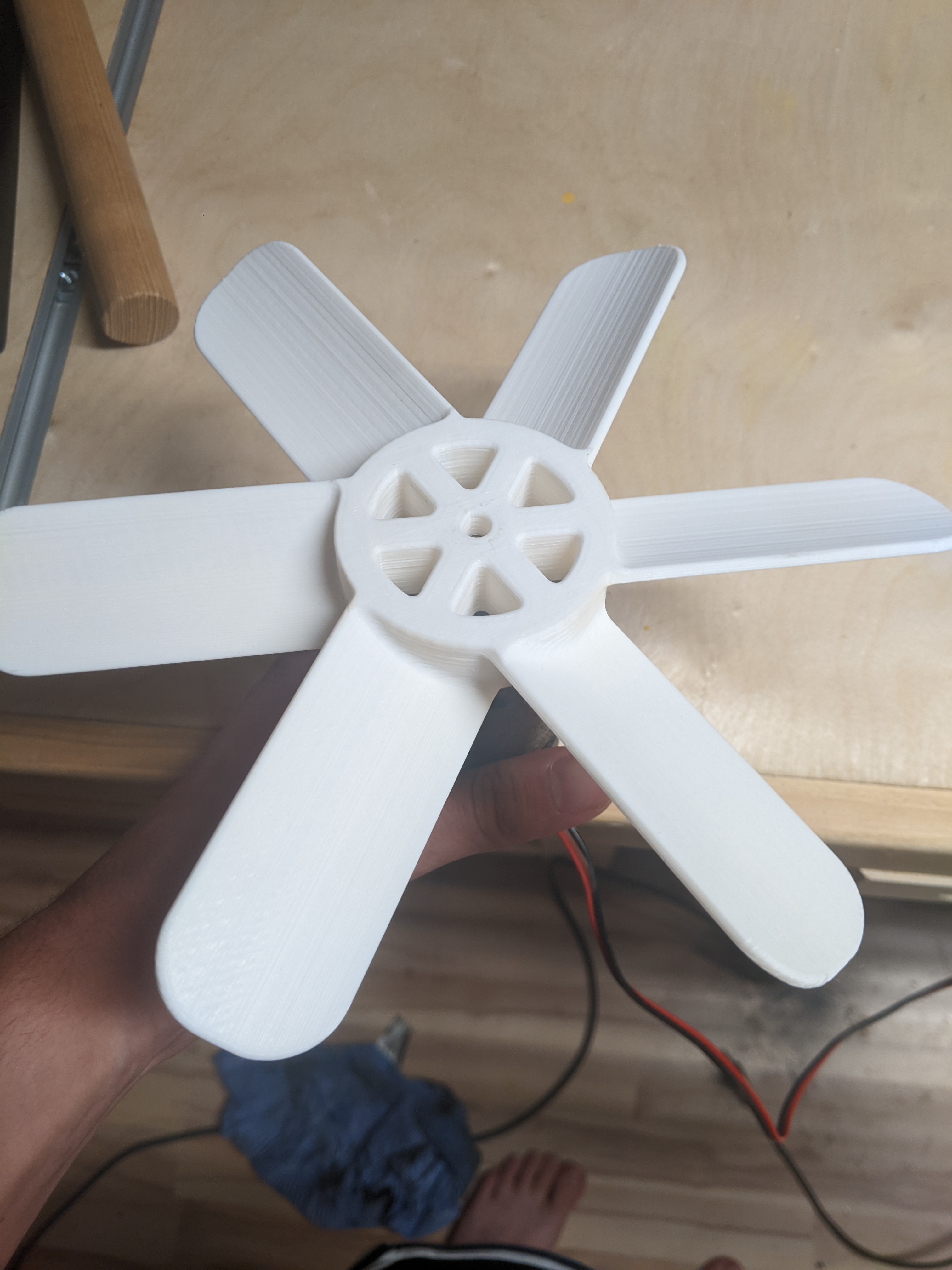 Fan