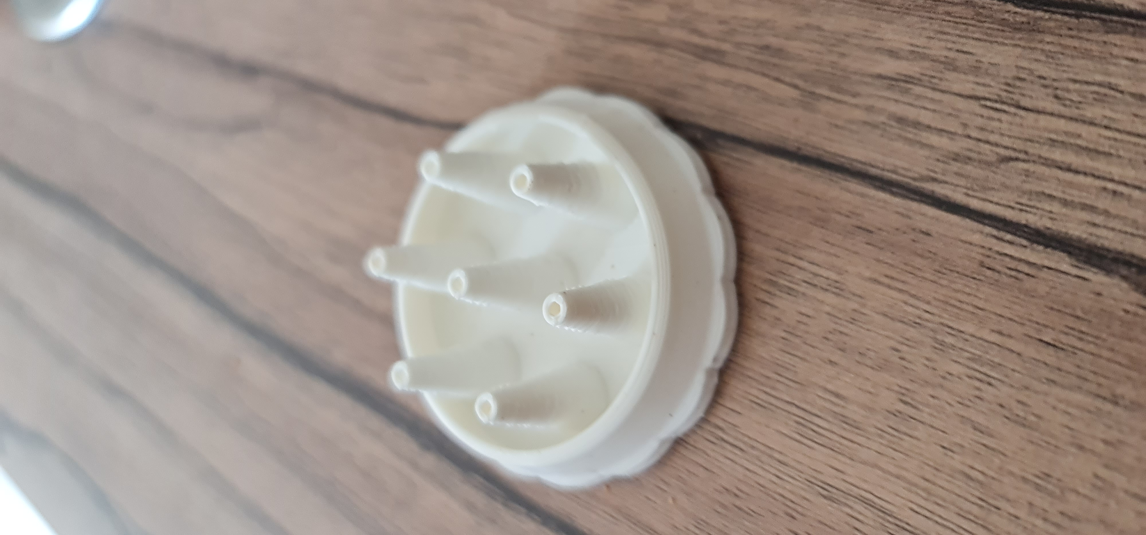 Miniatura 6 do modelo 3D Fruit Fly Trap various diameter