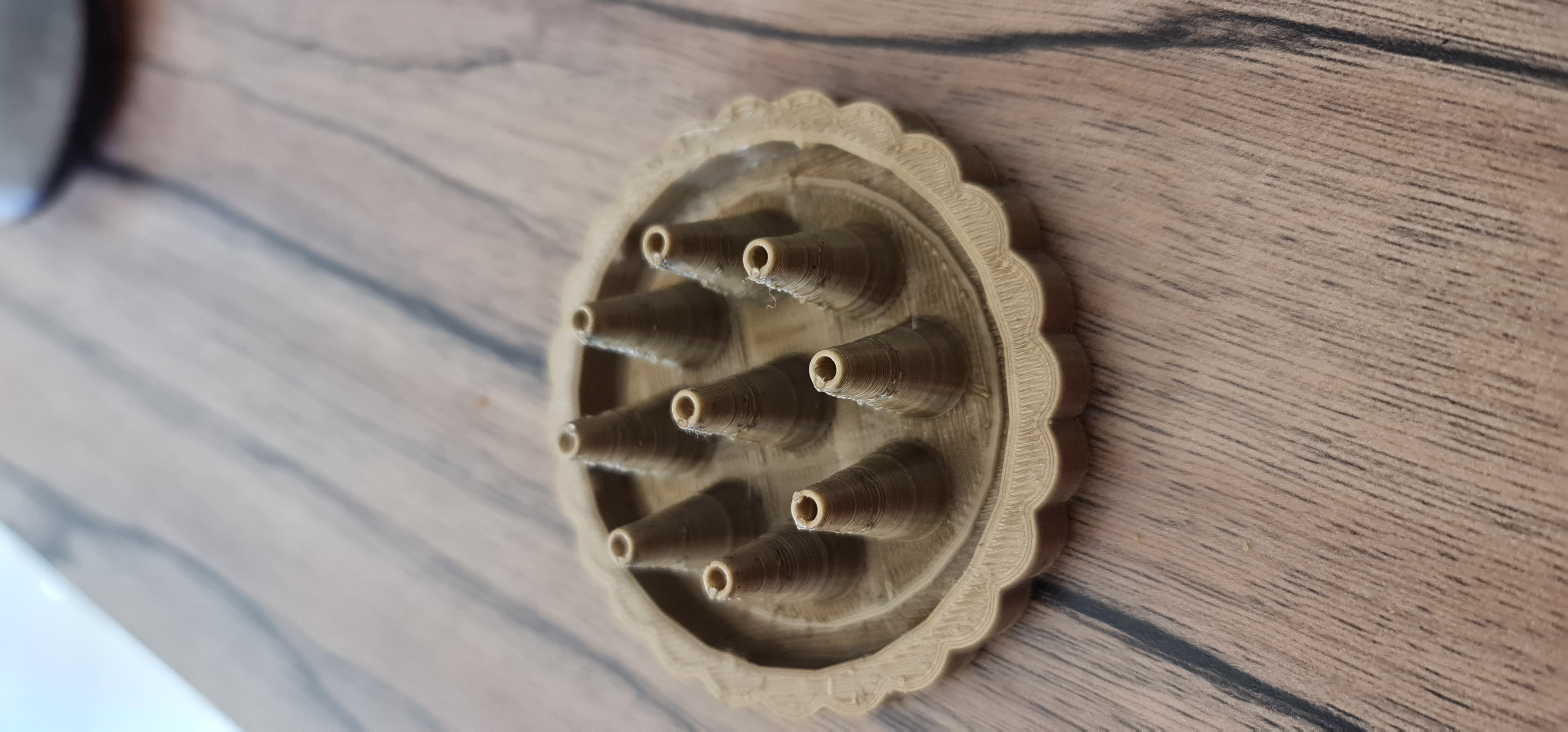 Fruit Fly Trap various diameter by Baumino Download free STL model