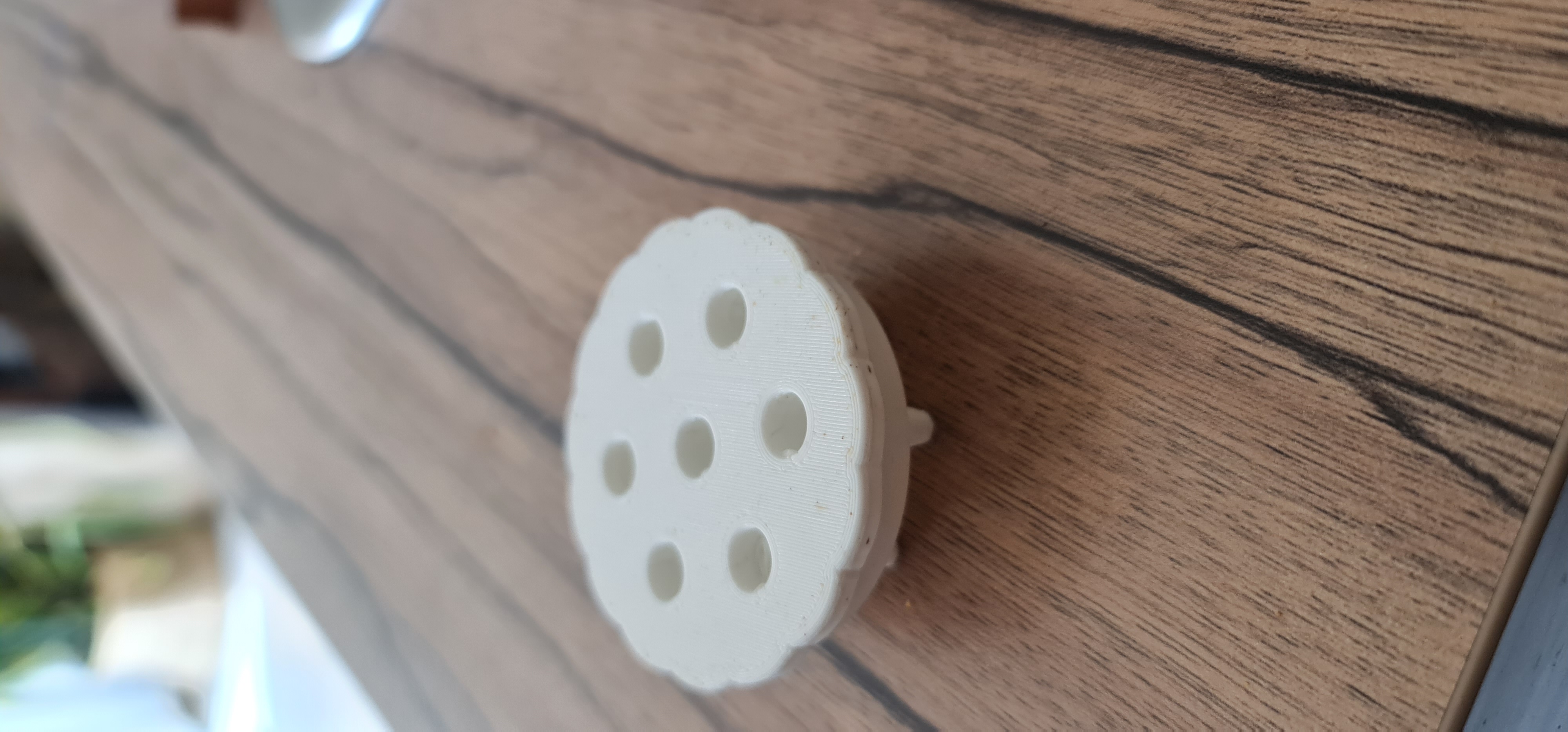 Fruit Fly Trap various diameter by Baumino Download free STL model