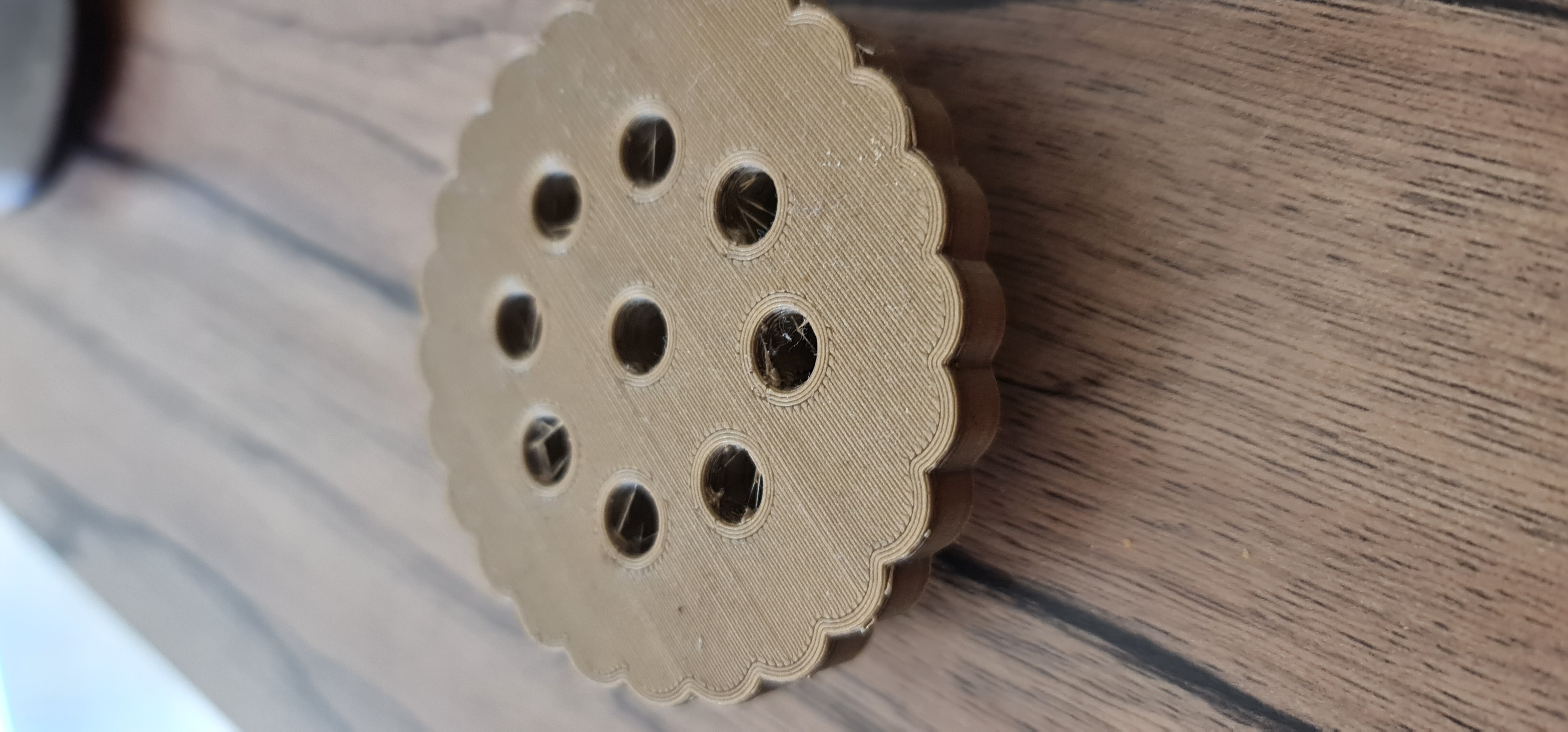 Fruit Fly Trap various diameter by Baumino | Download free STL model ...
