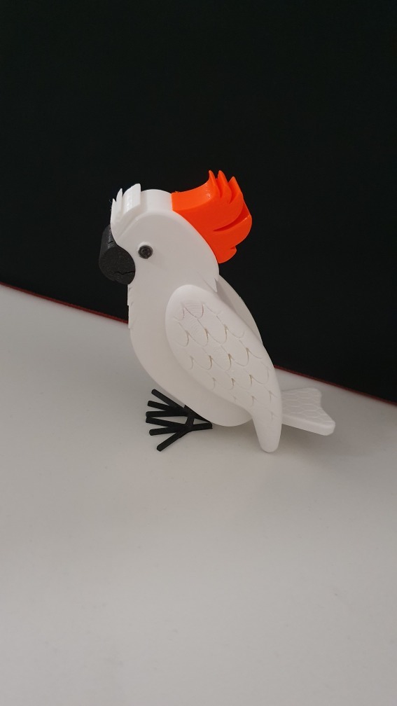 Cockatoo