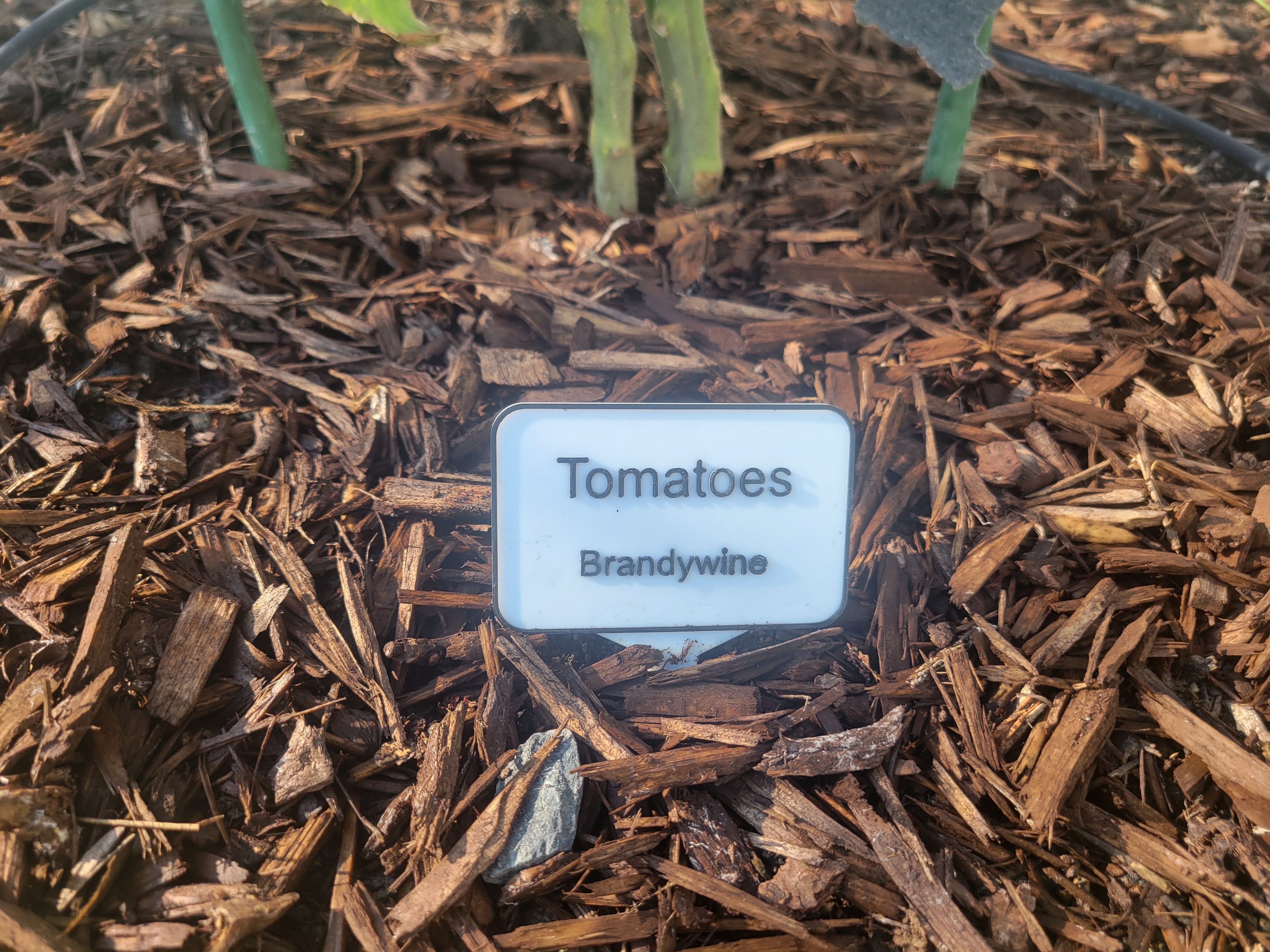 Garden Plant Tags