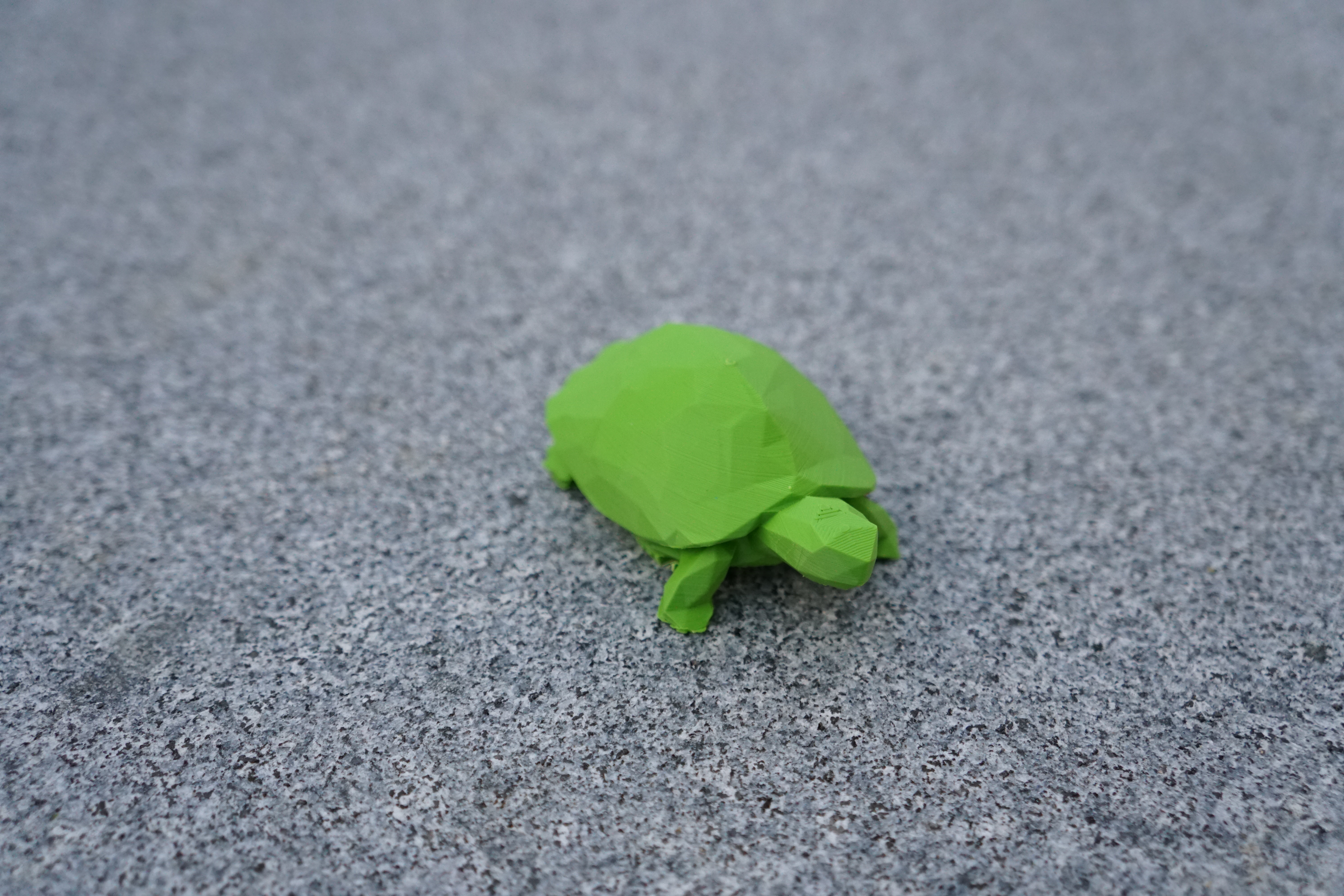 Low Poly Schildkröte