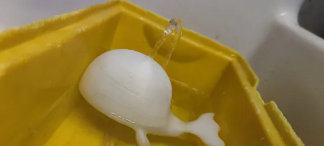 Little whale with hose connection