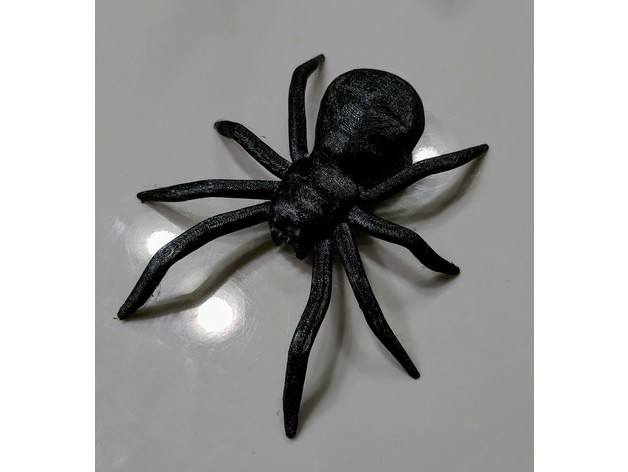 Spider by Jason C Kessler | Download free STL model | Printables.com