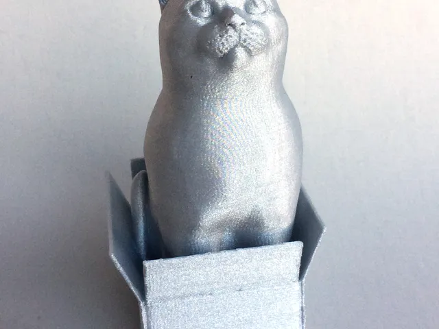 Schrodinky: British Shorthair Cat Sitting In A Box(single extrusion version)