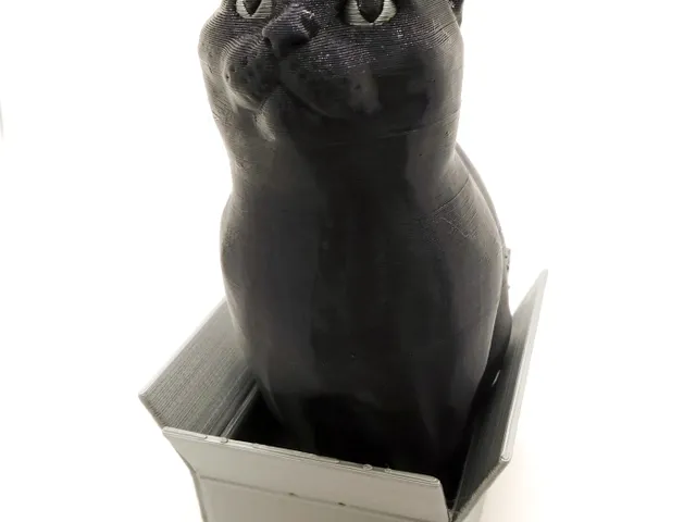 Schrodinky:(dual extrusion version)