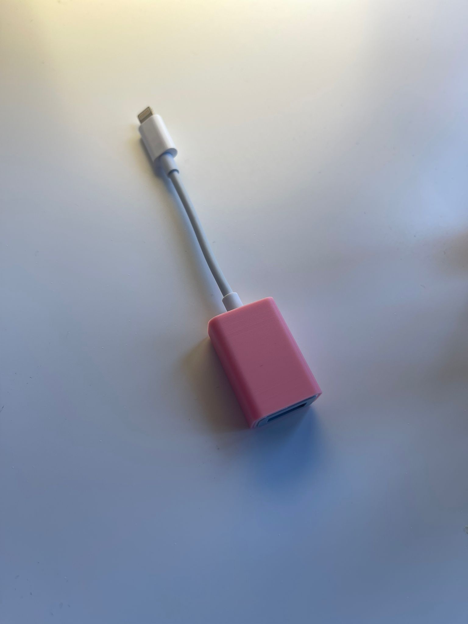 USB C to Lightning Cover