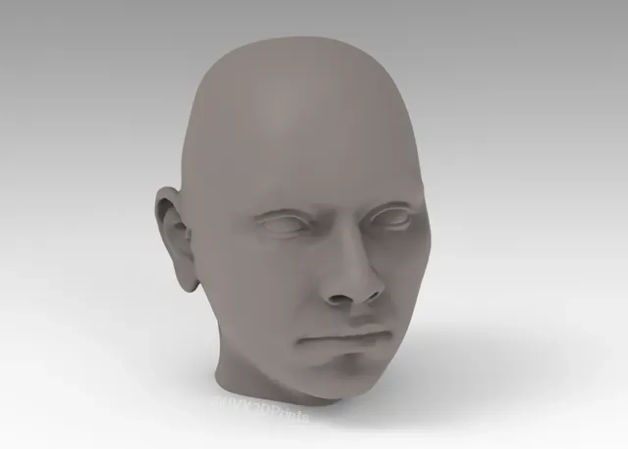 Female Head Scan by UVX 3D Prints