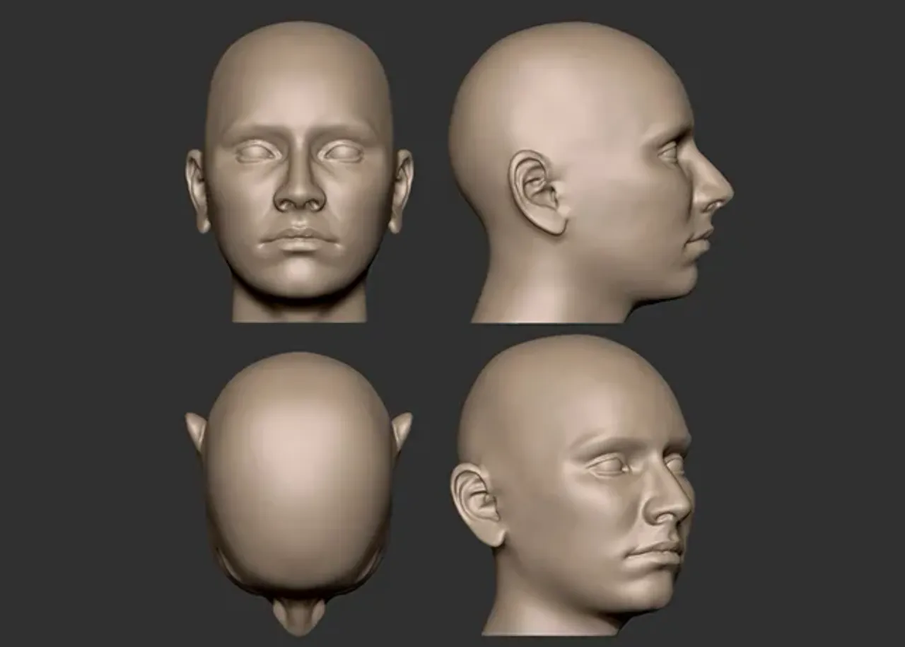 Wig Head Mannequin 3D model for 3D printing 3D model 3D printable