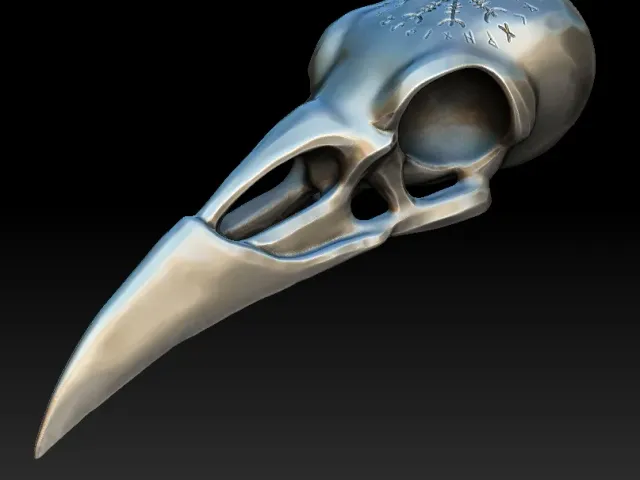 Raven skull