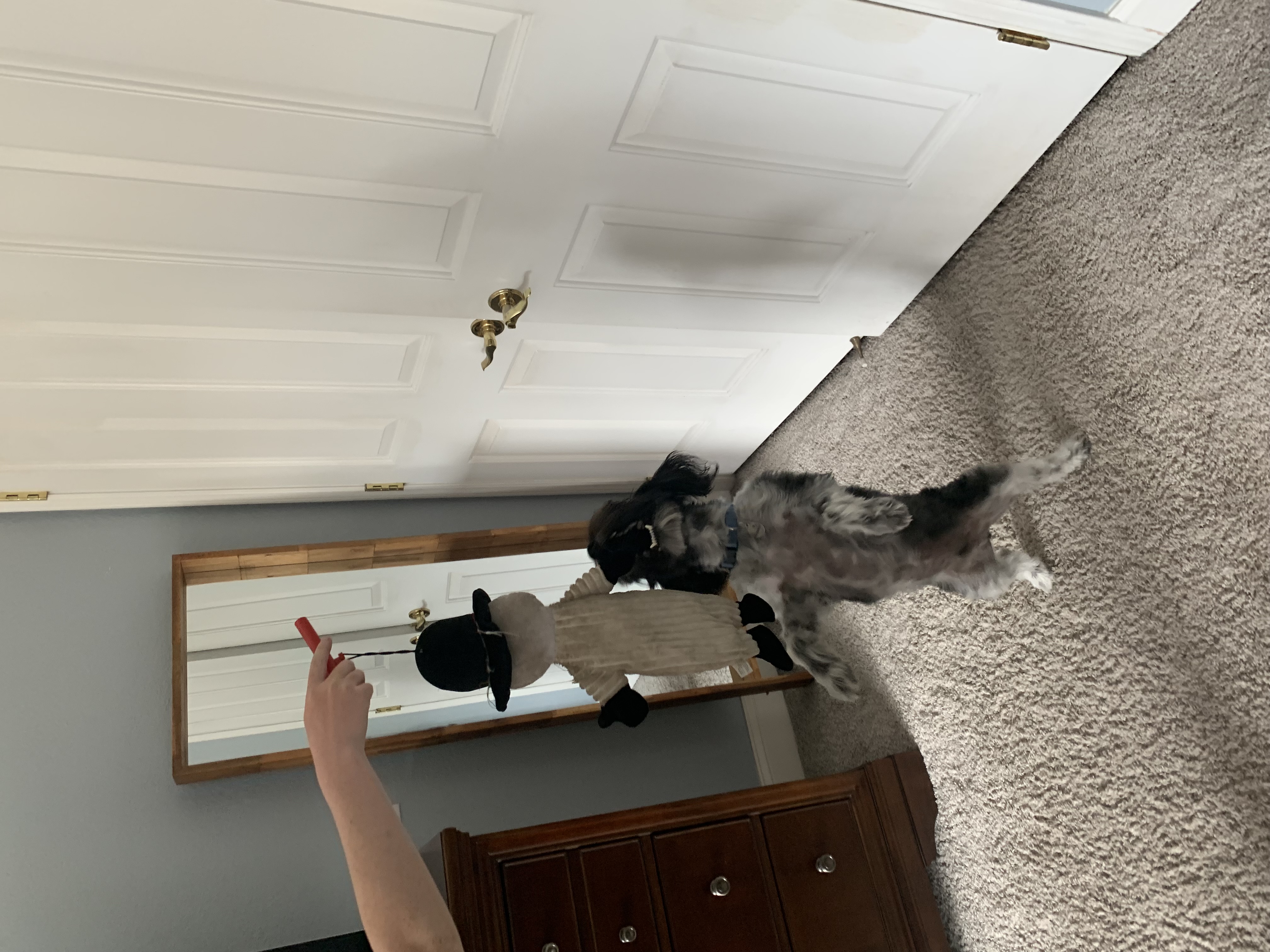 A dog toy handle.