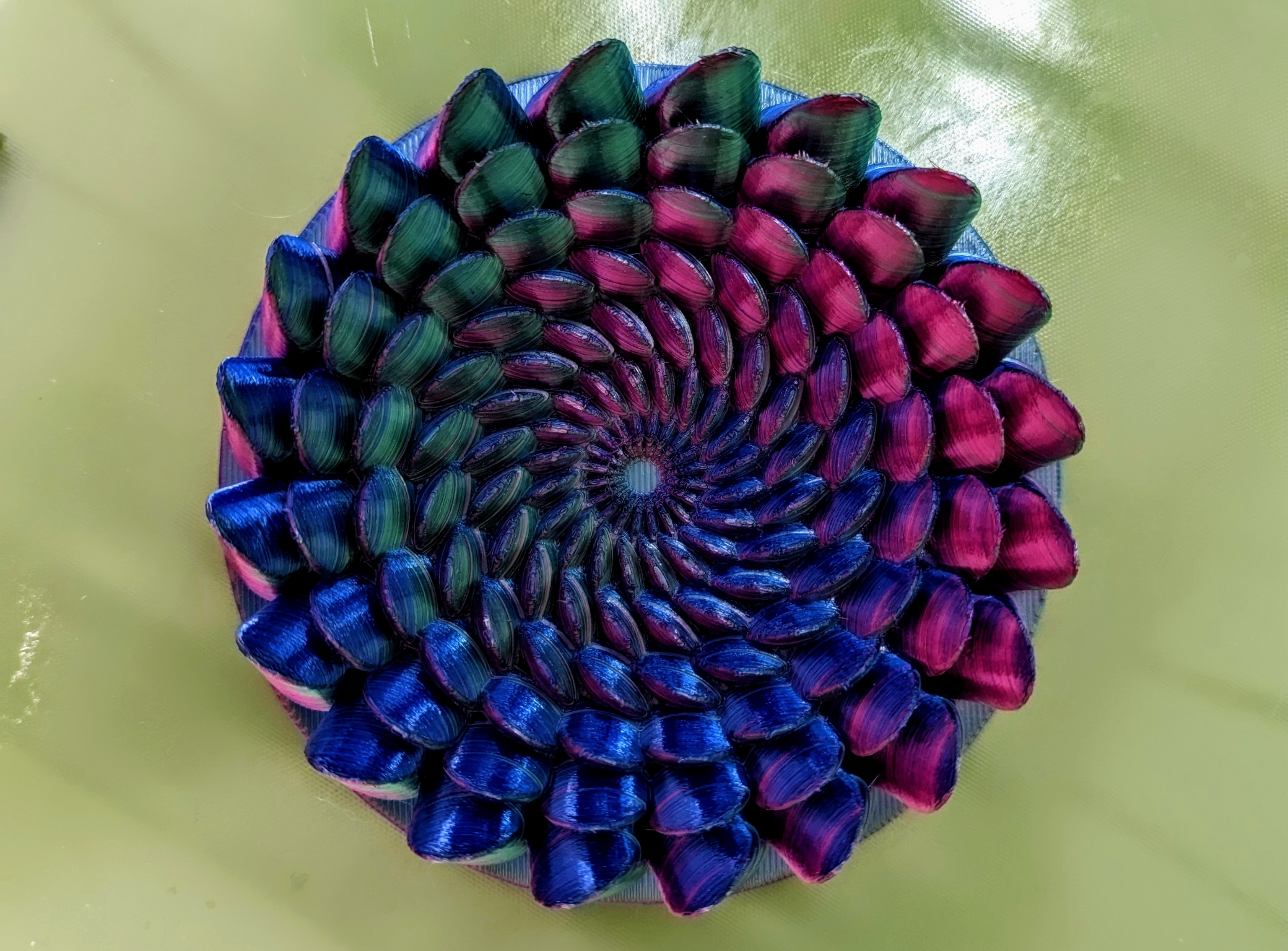 Smooth Succulent Inspired Art