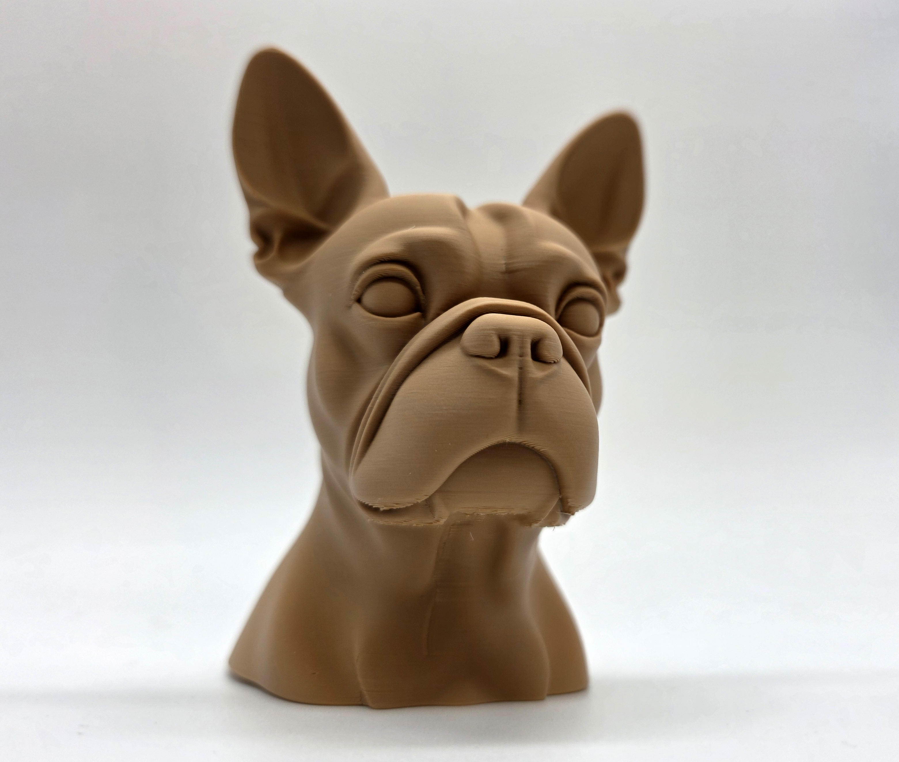 Boston Terrier Bust