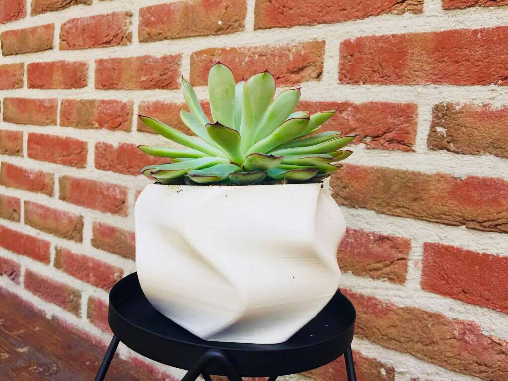Miniatura 2 do modelo 3D twisted flower pot