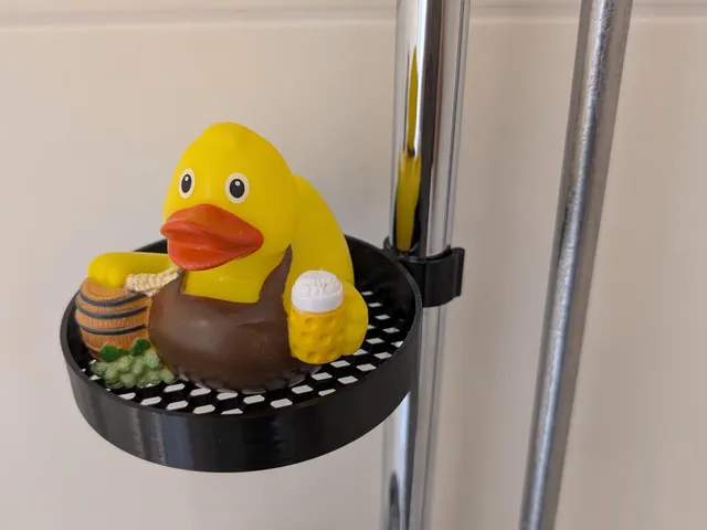 Universal Shower Holder