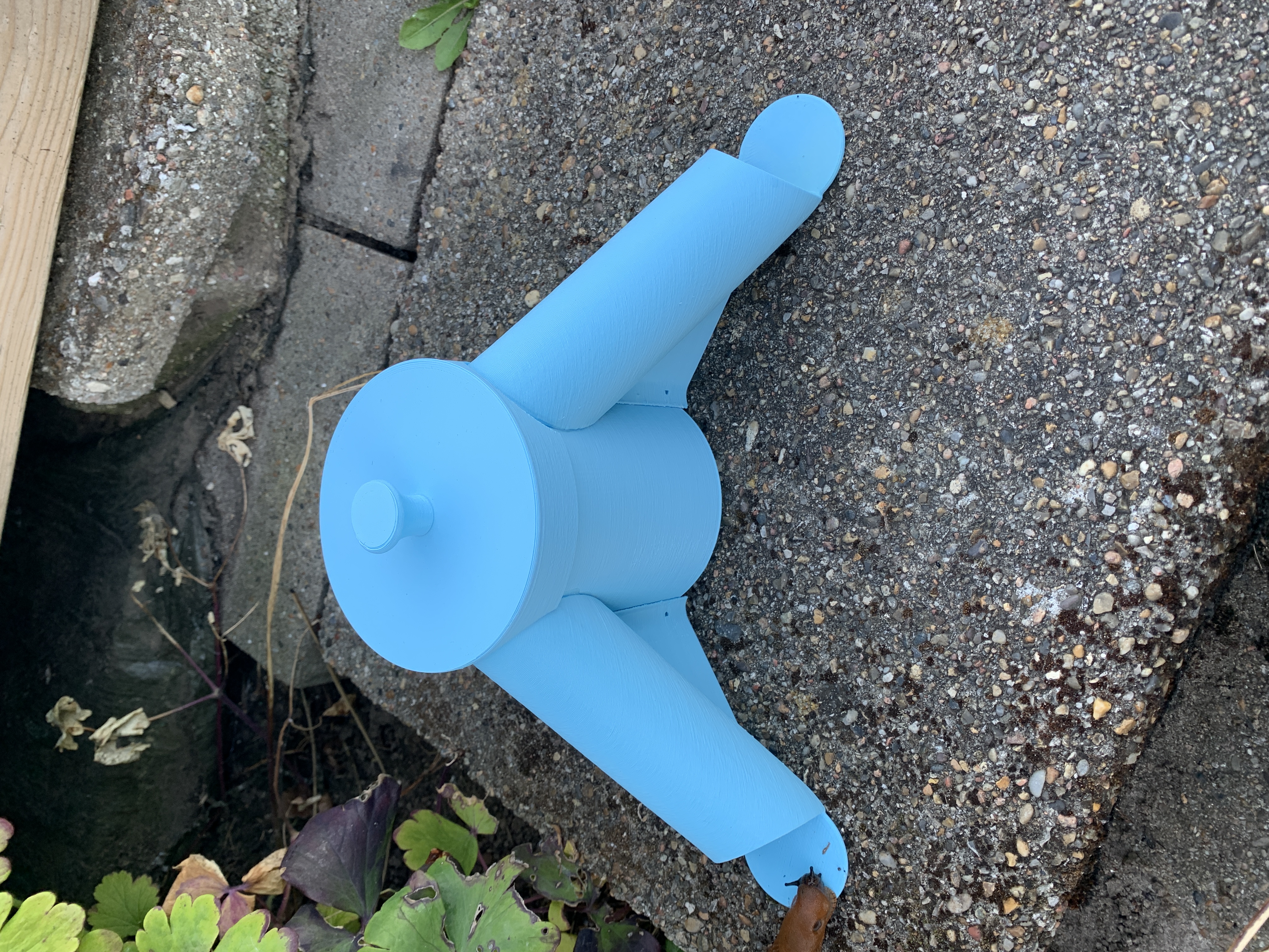 Snail trap
