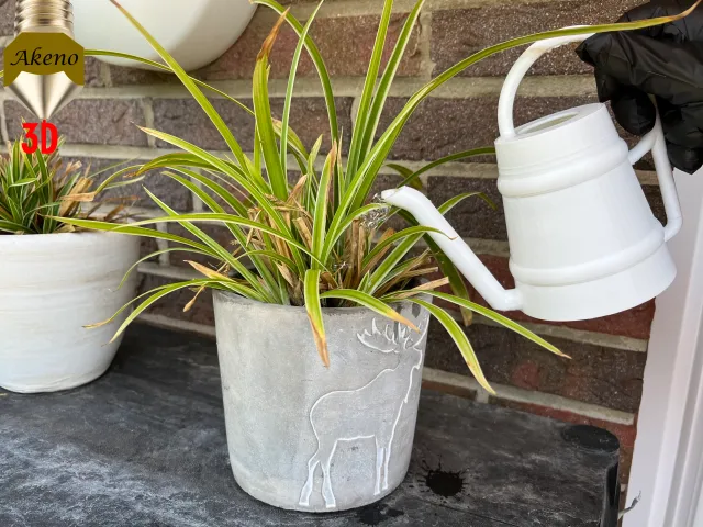 Watering can for 350 ml of water