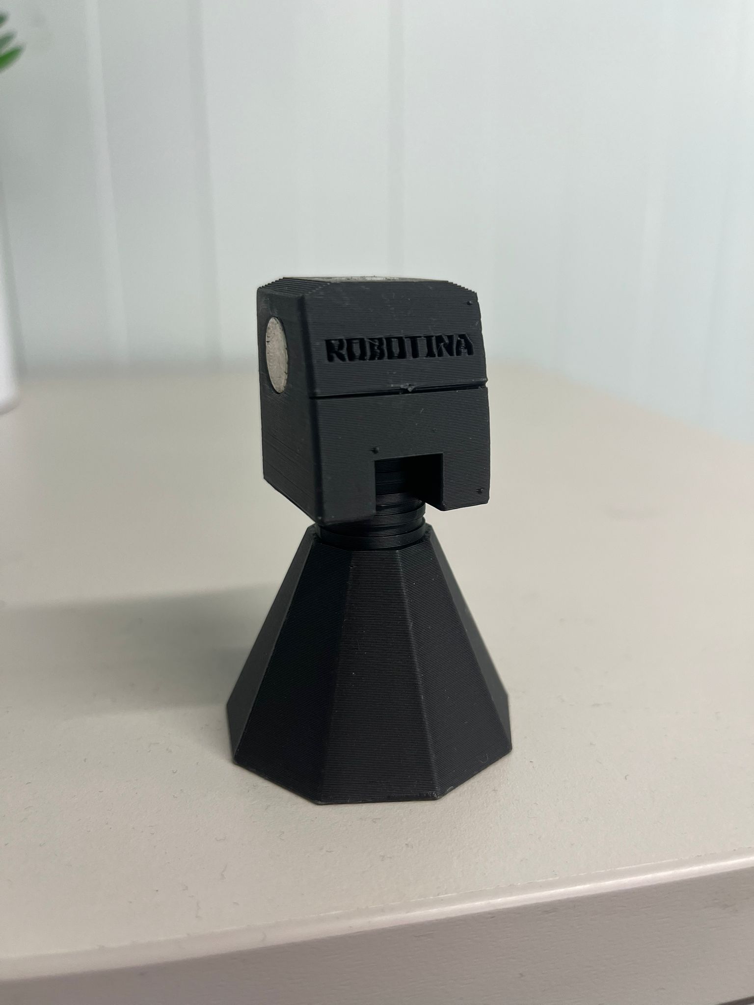 Cuerpo Robotina