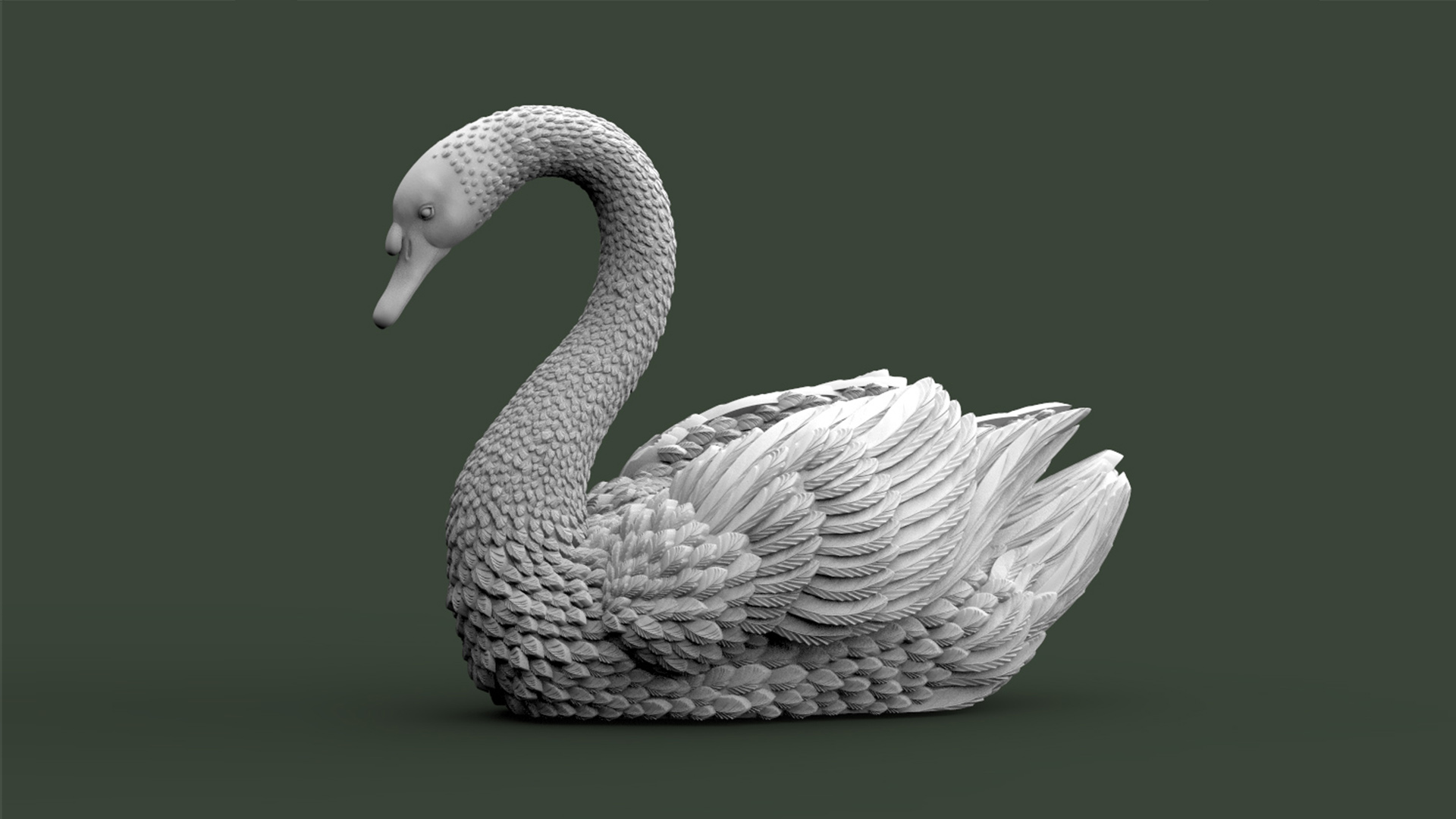 BIRD SWAN — thumbnail 10