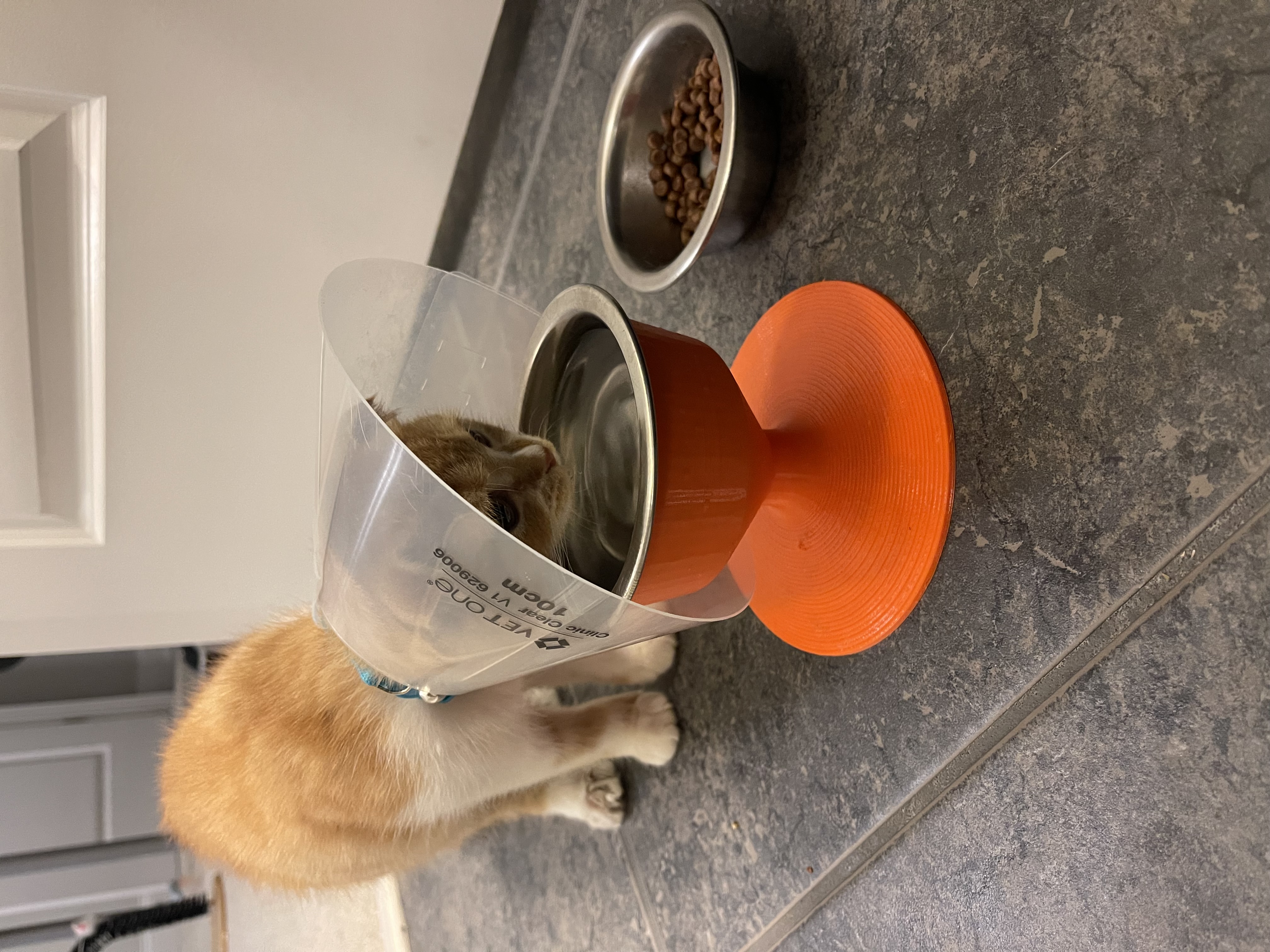 Pet Bowl Riser