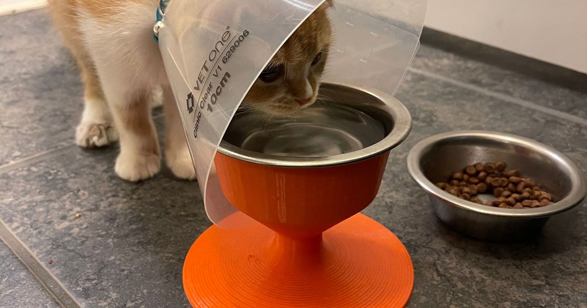 Pet Bowl Riser by DaveTheYellowDart Download free STL model