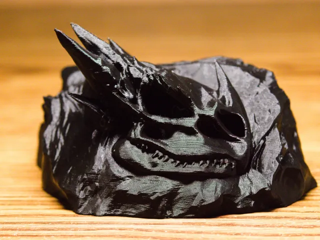Dragon Skull Fossil