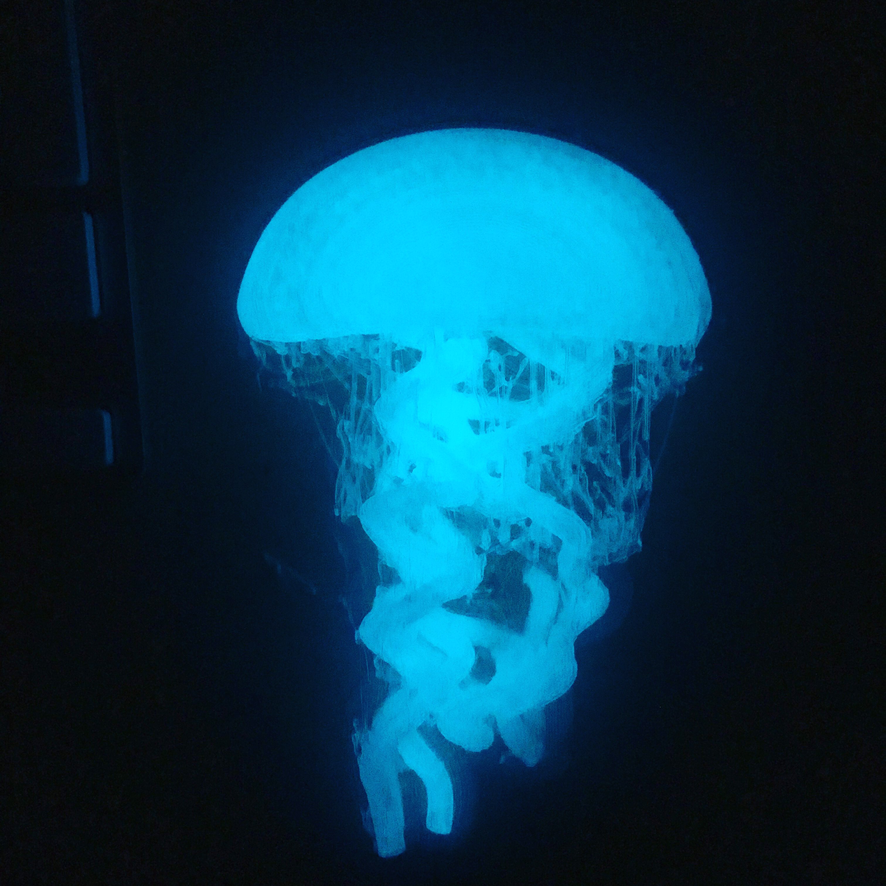 Jellyfish Wall Decoration