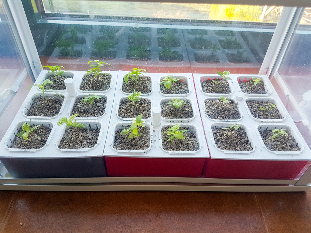 Hydroponic garden — miniatura 2