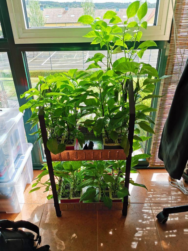 Hydroponic garden — miniatura 11
